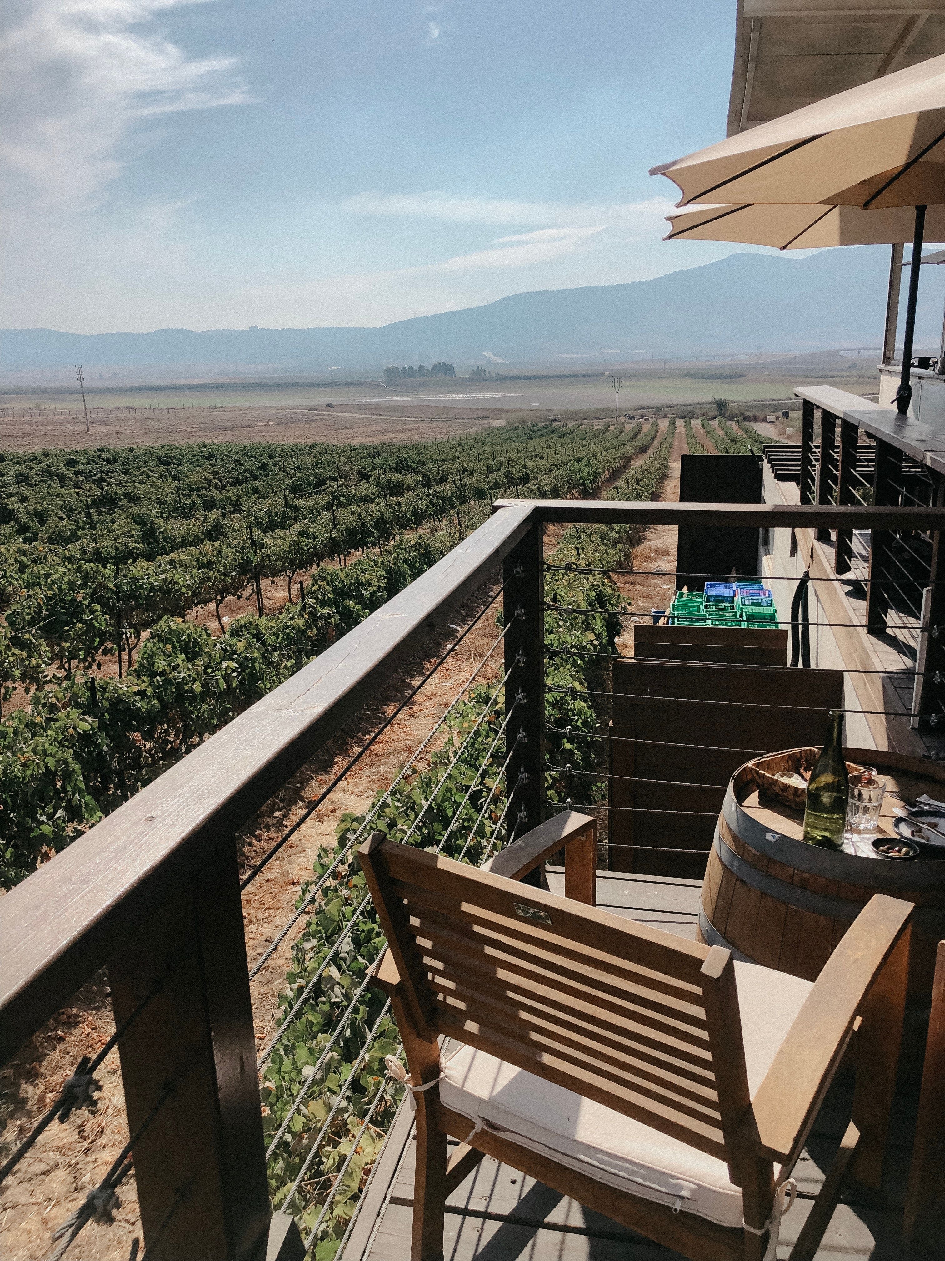 Horseback & Wine Discovery on Mount Etna, Sicily