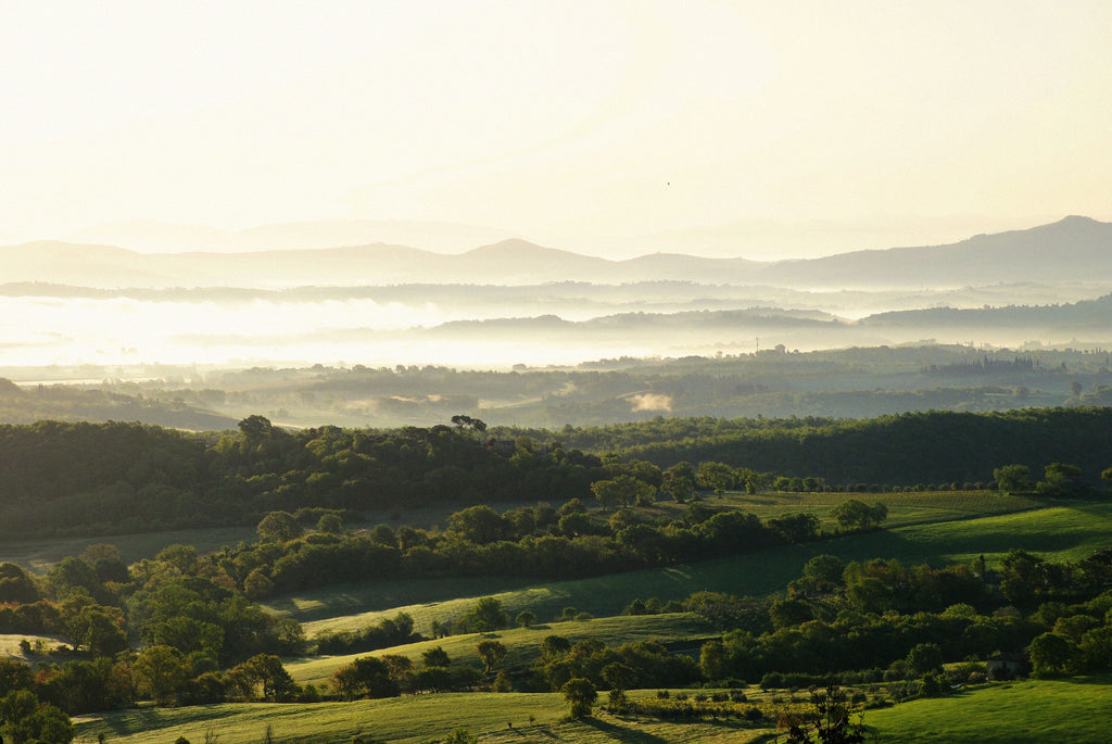 Tuscany - The Truffle Trails