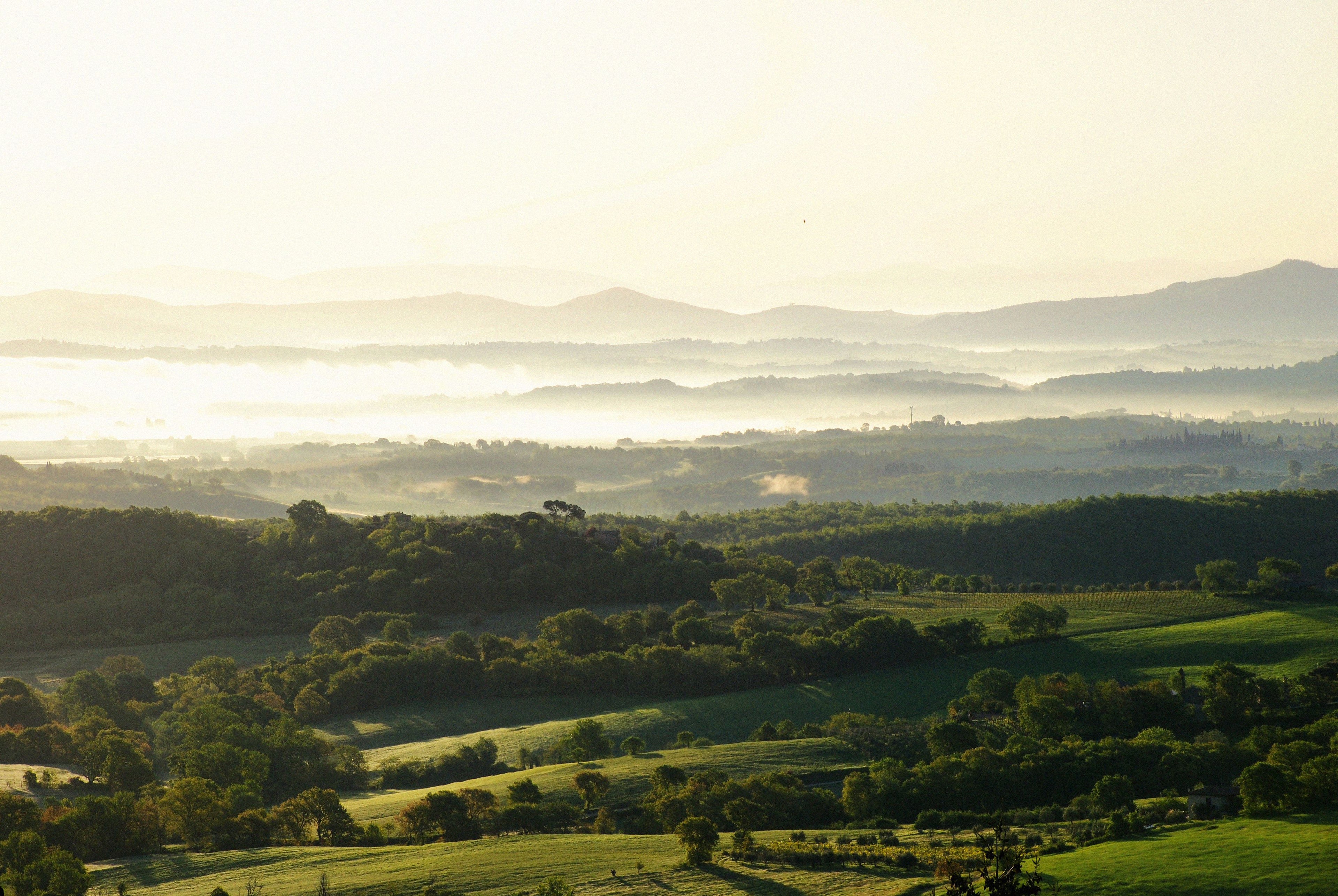 Tuscany - The Truffle Trails
