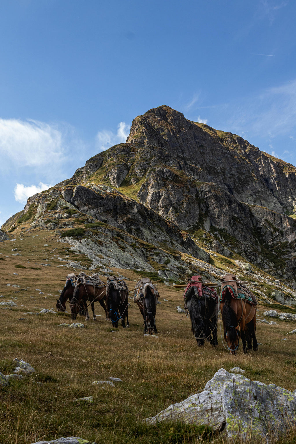 Vosges Mountains – Alpine Forest Trail Riding & Majestic High-Altitude Escapes