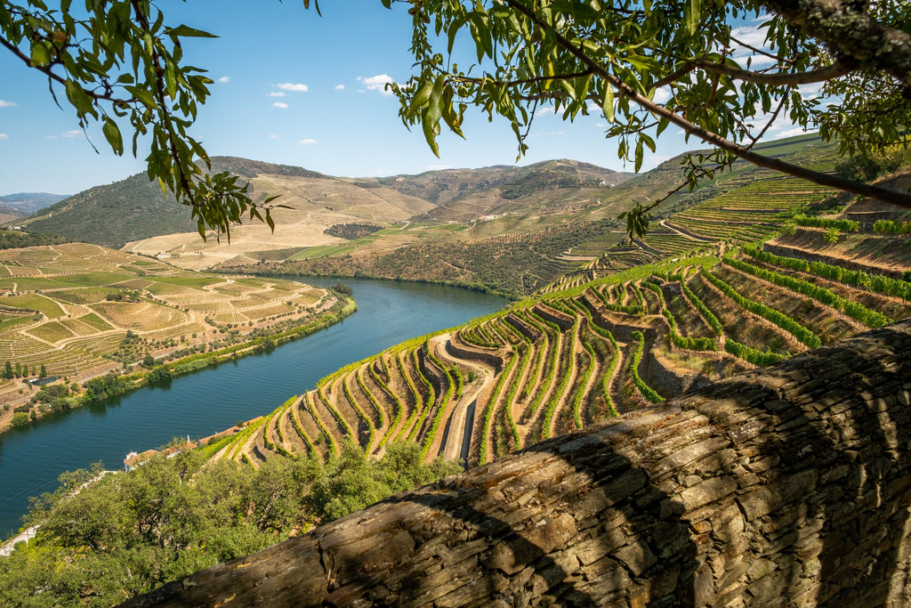Douro Valley: A Vineyard Stay Along the River