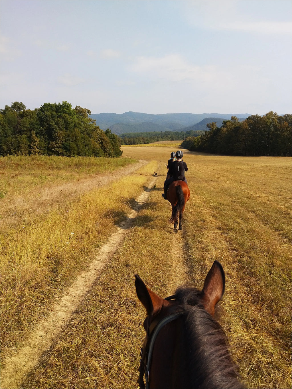 Equestrian Expedition – Long-Distance Trail Riding & Elite Endurance Horsemanship