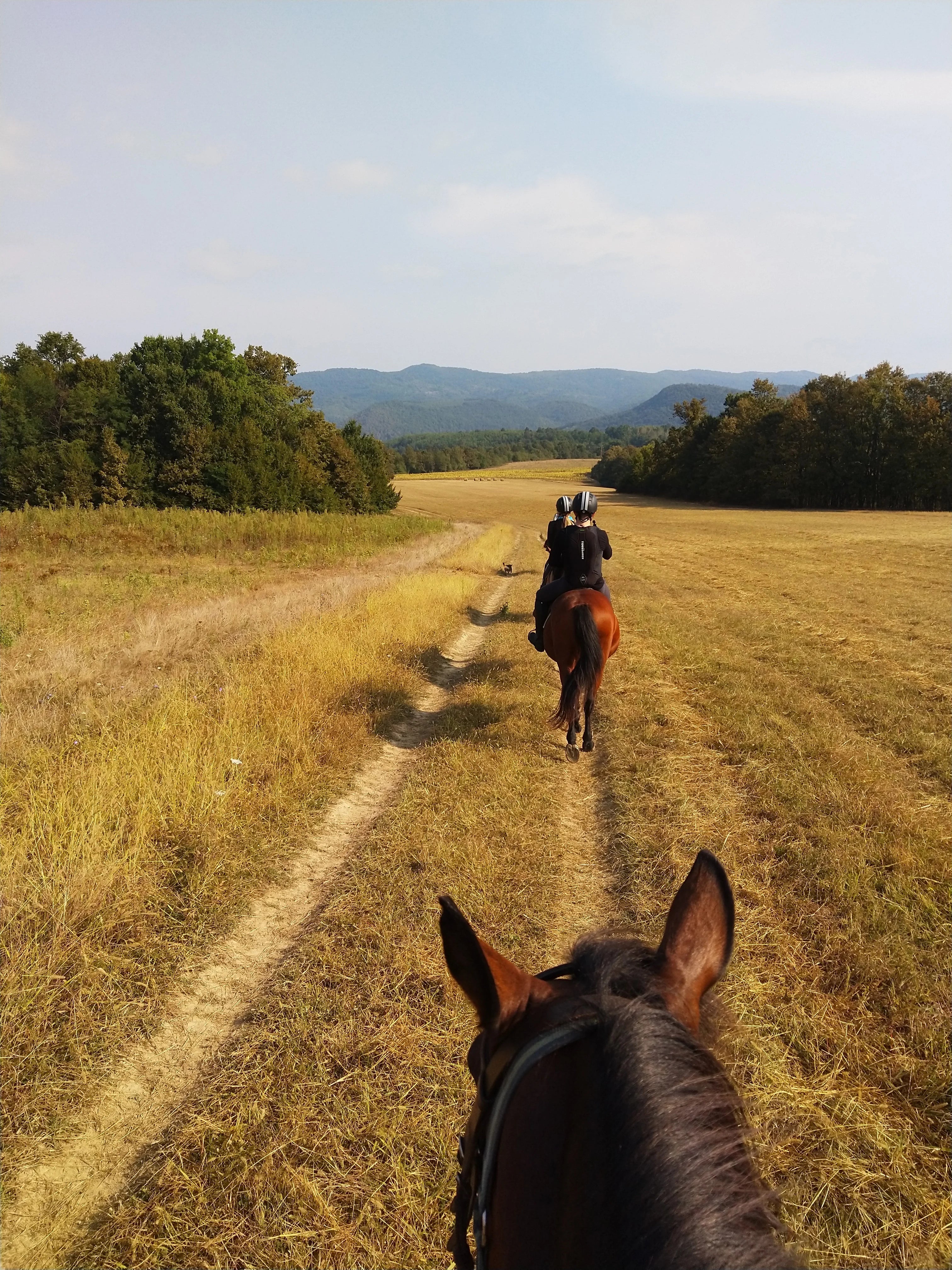 Equestrian Expedition – Long-Distance Trail Riding & Elite Endurance Horsemanship