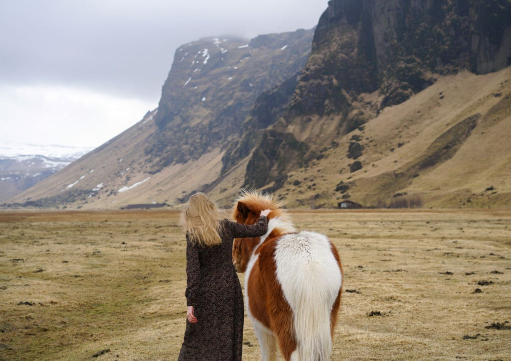 Iceland: Horseback Riding & Traditional Farm Dinner