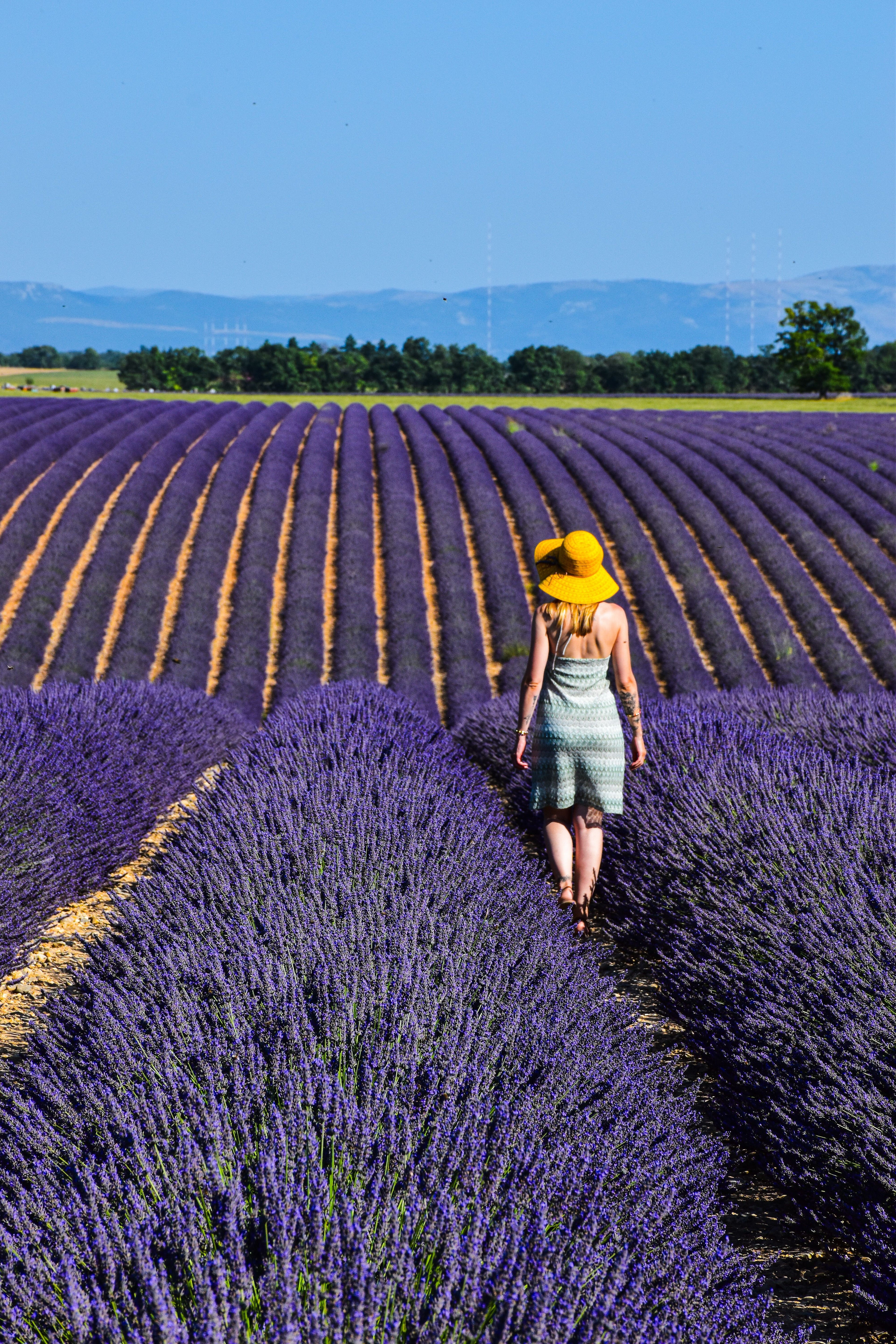Provence - The Provençal Escape
