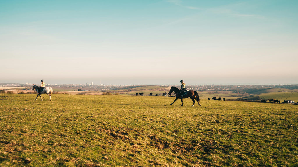 Countryside Retreat – Woodland Trails & Engaging Equestrian Experiences for Everyone