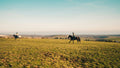 Countryside Retreat – Woodland Trails & Engaging Equestrian Experiences for Everyone