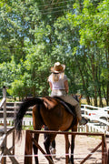 Barcelona Private Vineyard Horseback & Gourmet Wine Journey