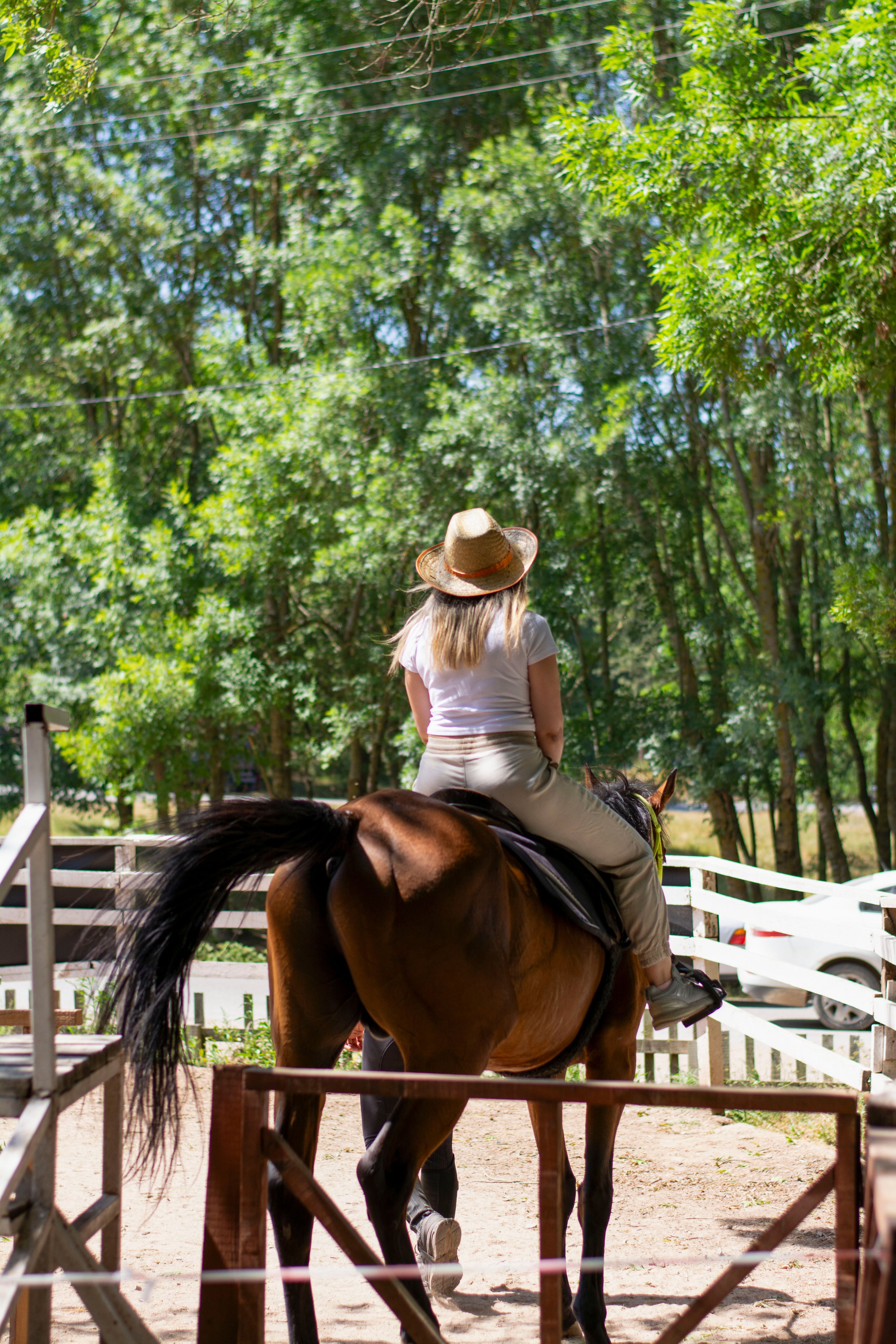 Barcelona Private Vineyard Horseback & Gourmet Wine Journey