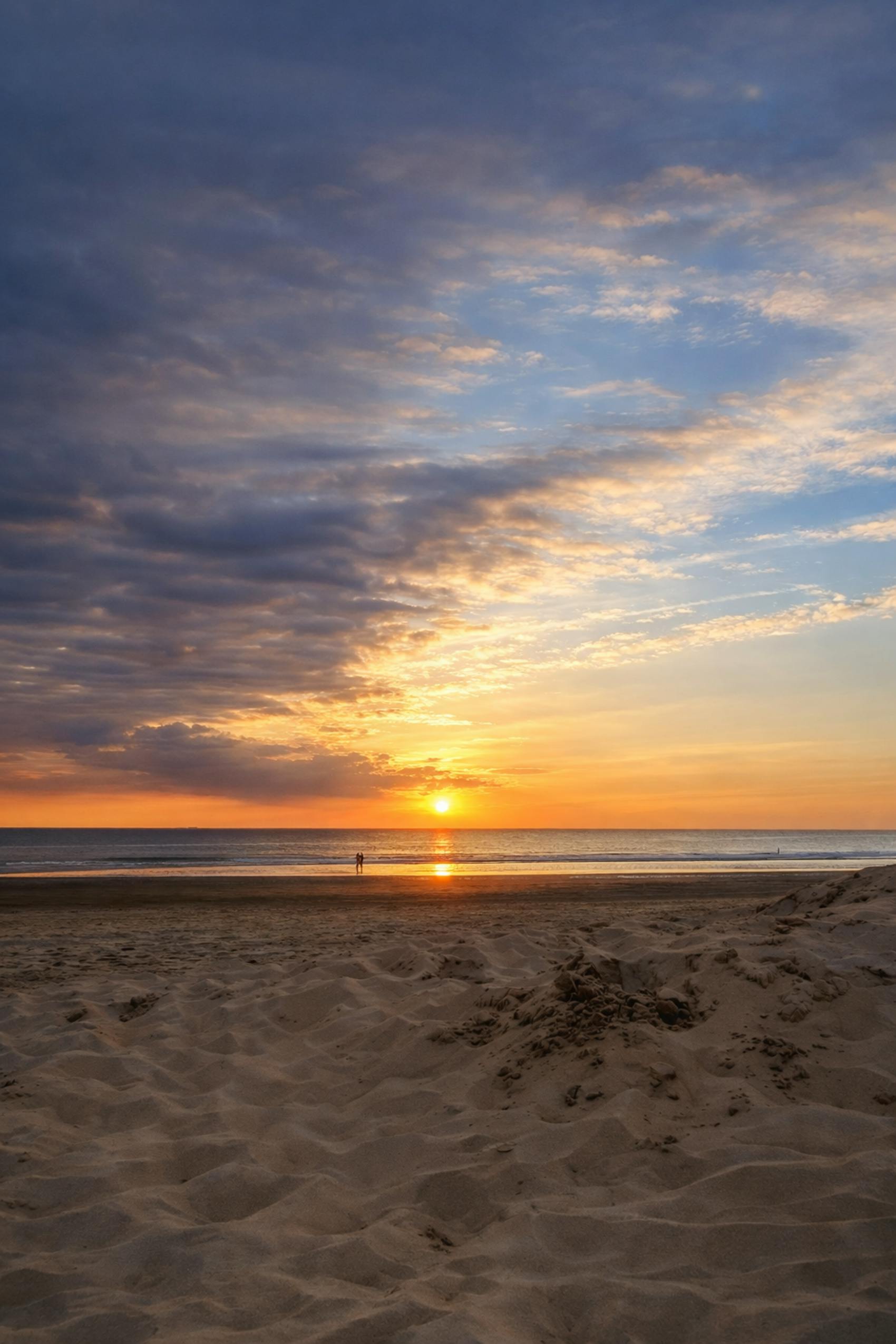 Pine to Ocean – Aromatic Forest Tracks & Infinite Atlantic Beach Gallops
