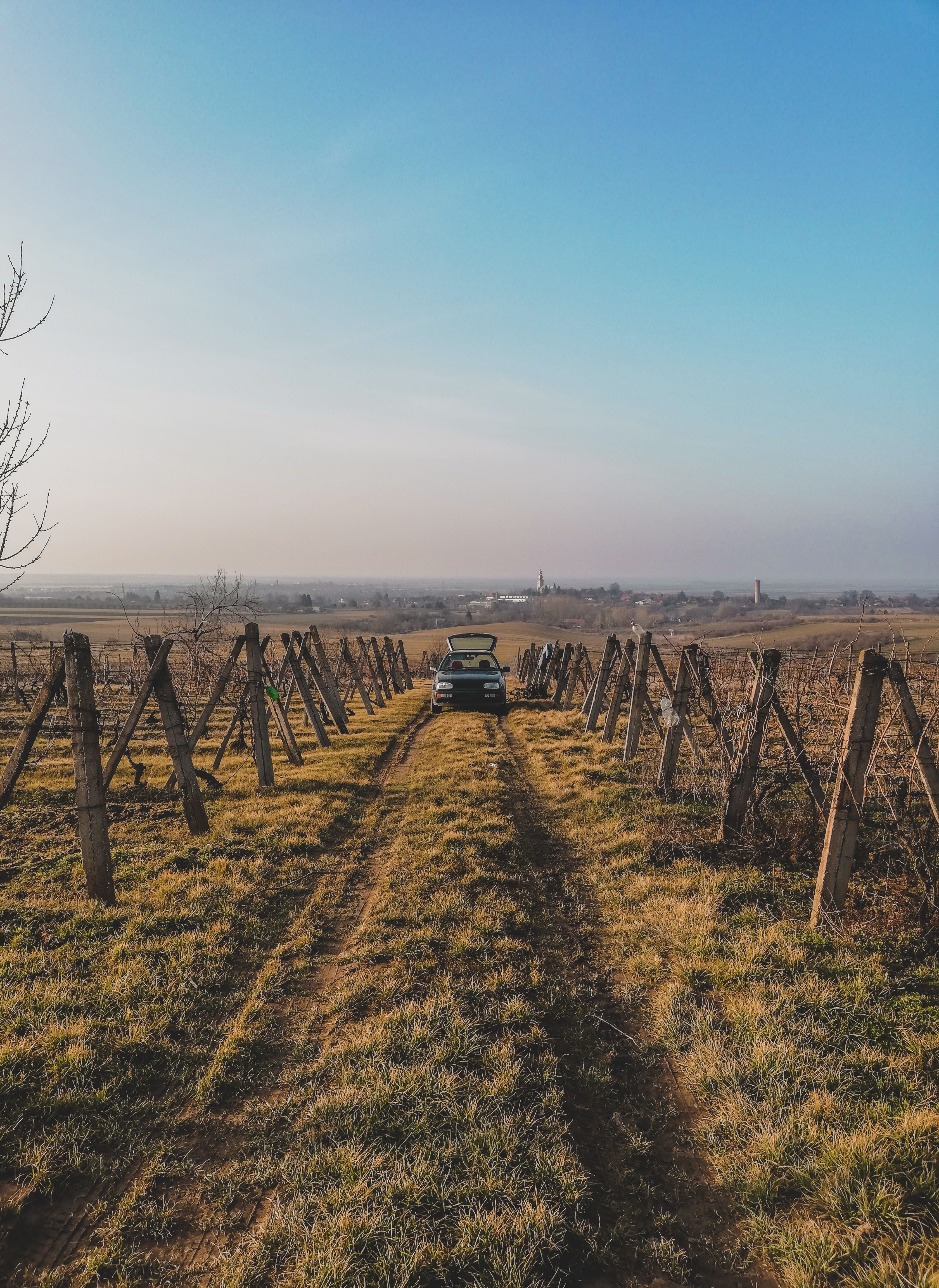 Bordeaux - Explore by Vintage Car