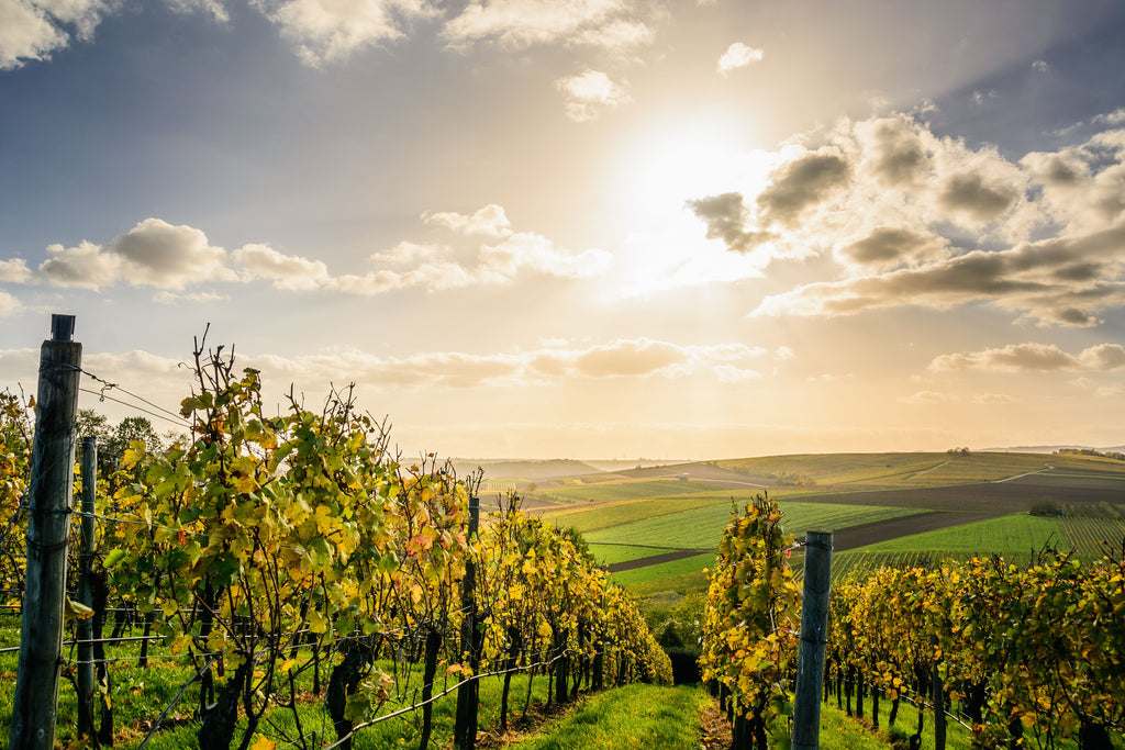 Tuscany: Slow Living in a Medieval Countryside Estate
