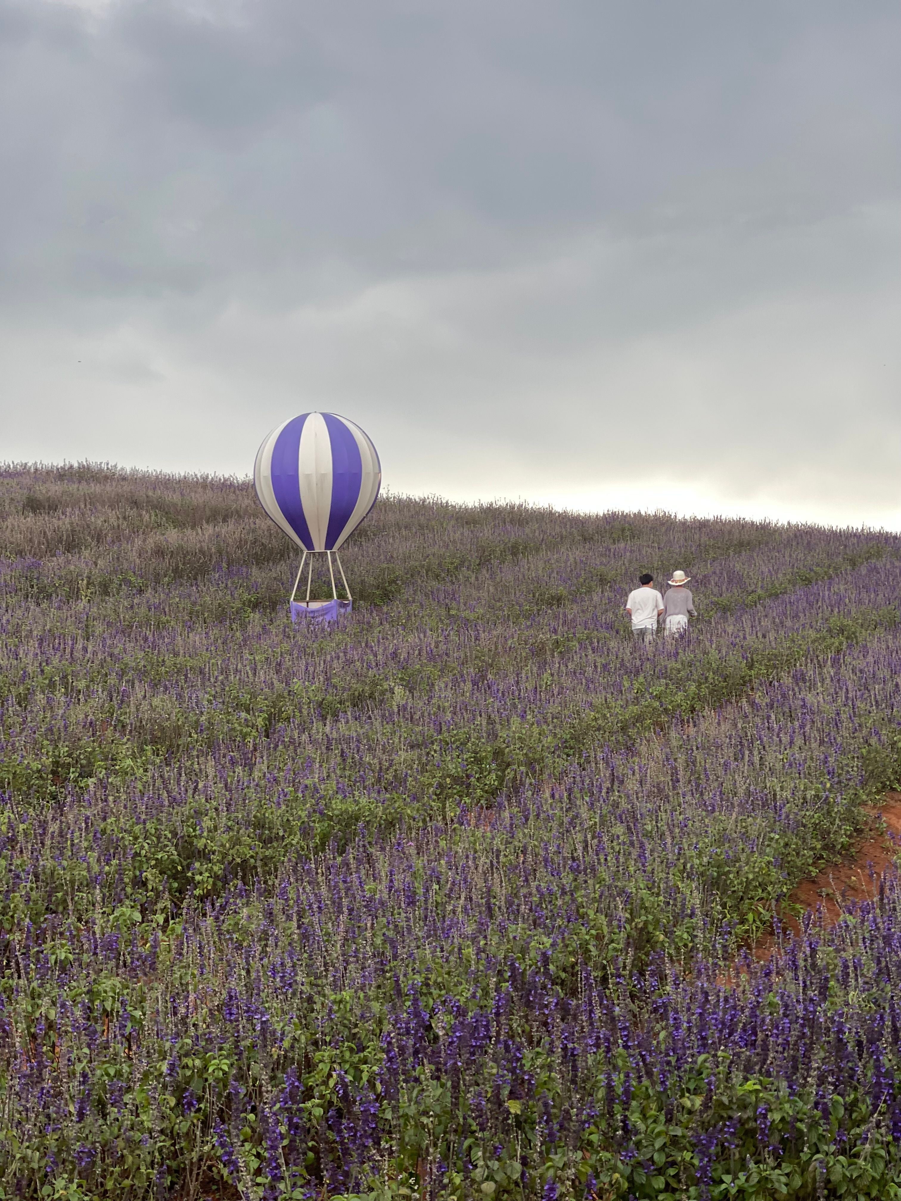 Provence - Hot Air Balloon Over Provence