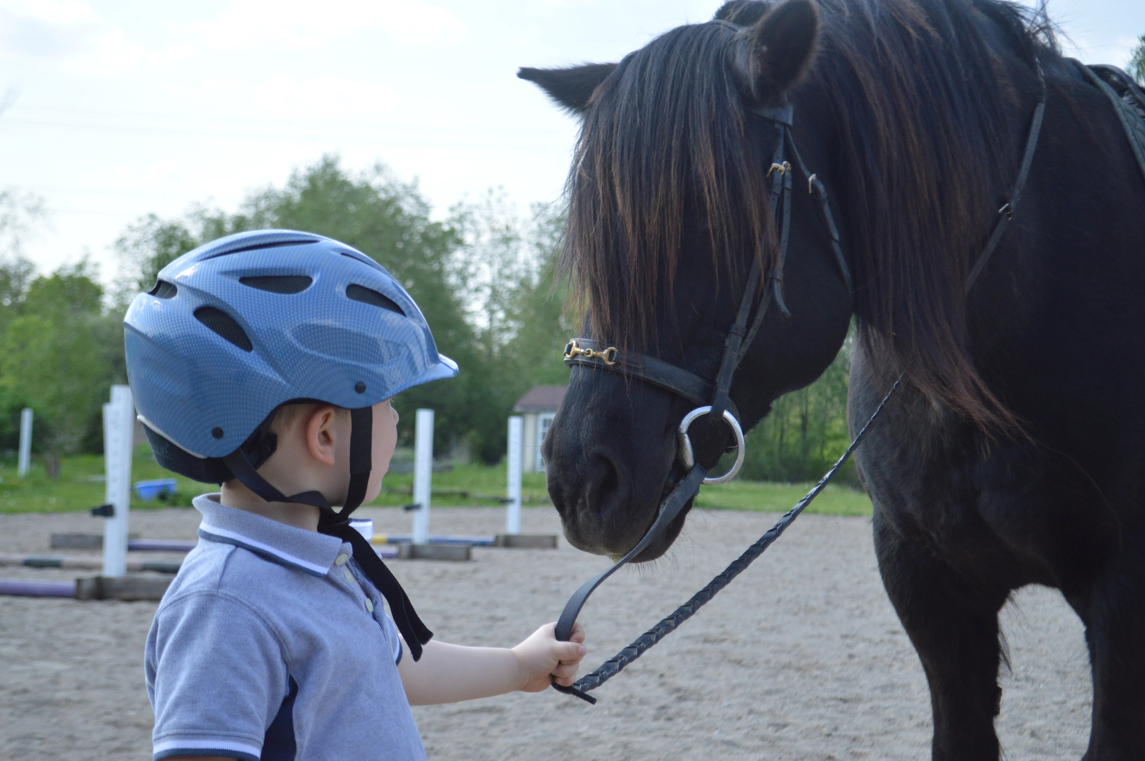 Normandy – Authentic Countryside Trail Riding & Custom Horsemanship in the Green Heart of France