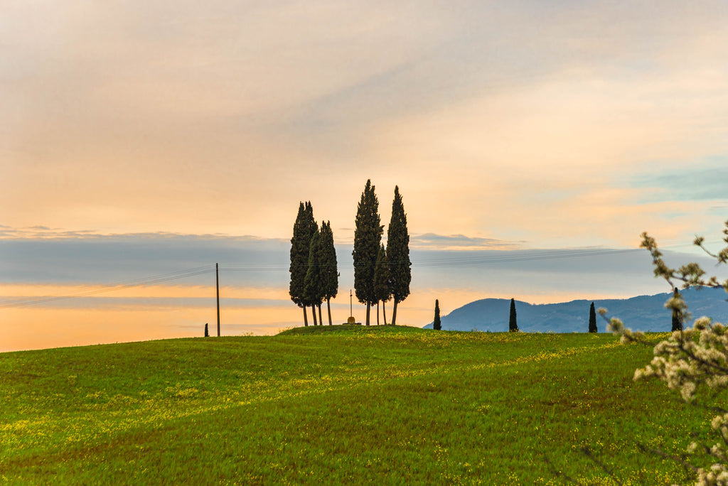 Tuscany - A Slow Morning on Horseback