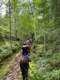 Maisons-Laffitte: Horseback Ride Experience with Picnic