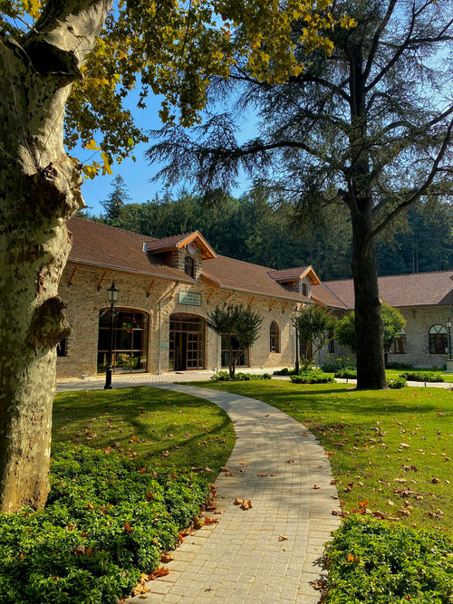Brittany – A Historic National Stud Farm with Heritage Architecture & Majestic Draft Horses