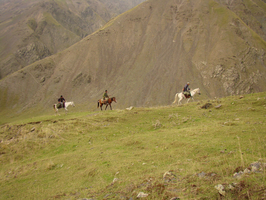 Volcanic Highlands – High-Altitude Ridge Trails & Equestrian Wilderness Exploration