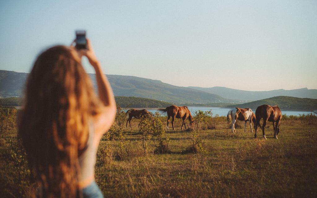 Riveria on Horseback
