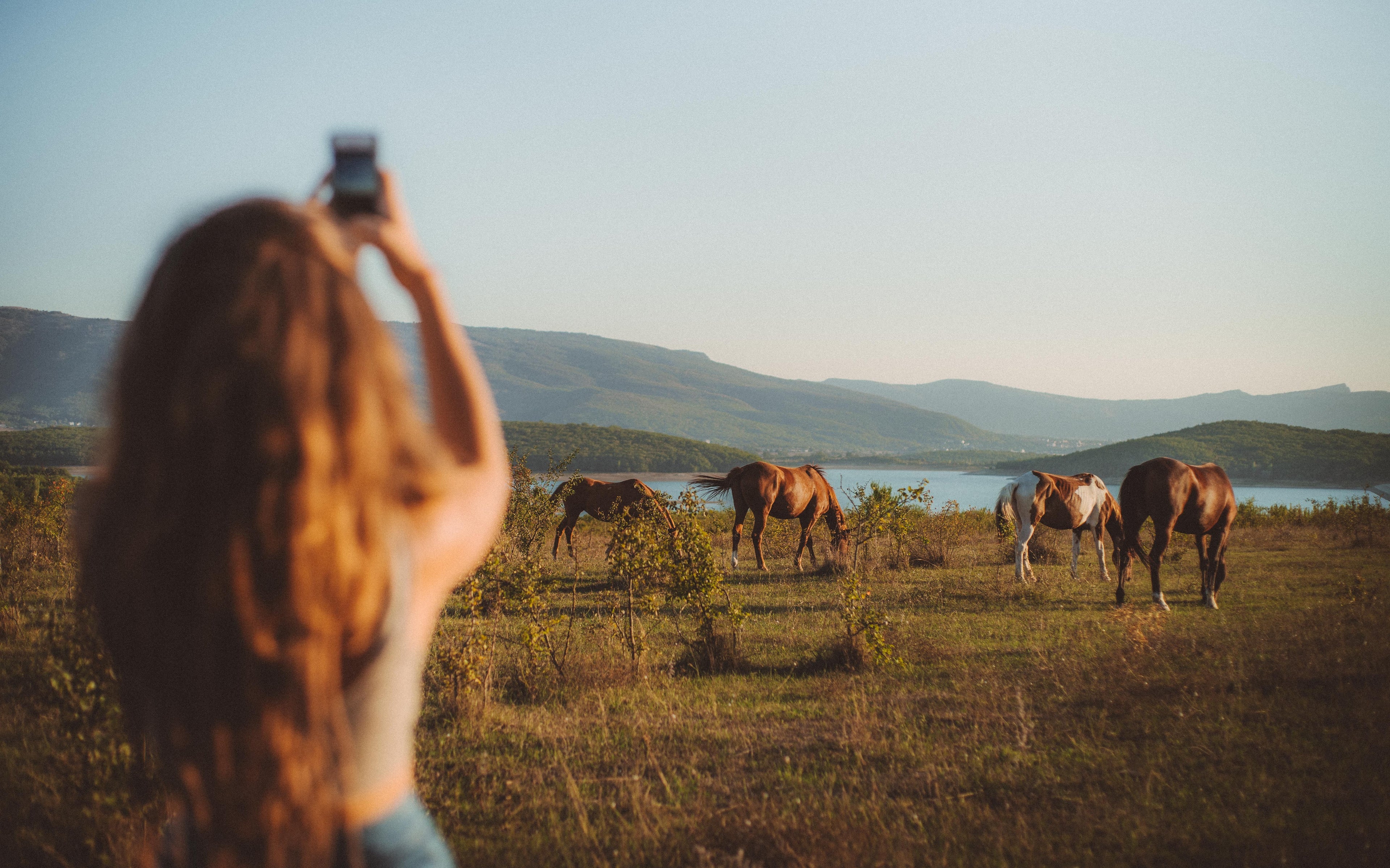Riveria on Horseback
