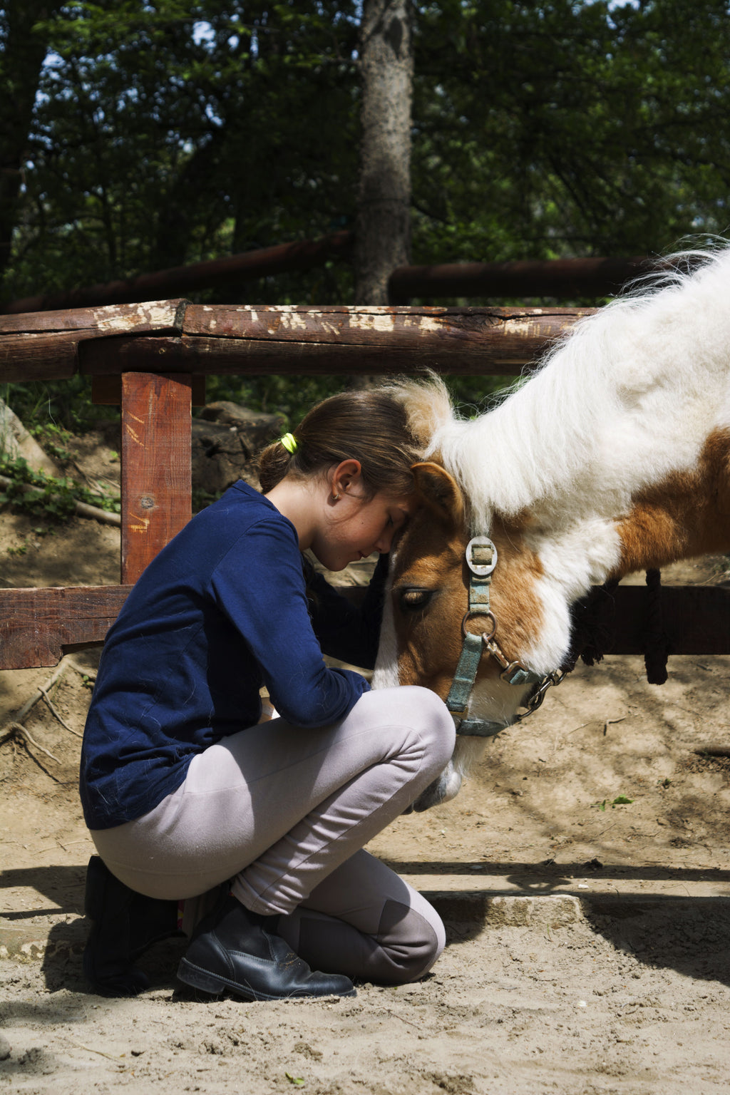 Horse & Countryside Immersion in Kalamata, Greece
