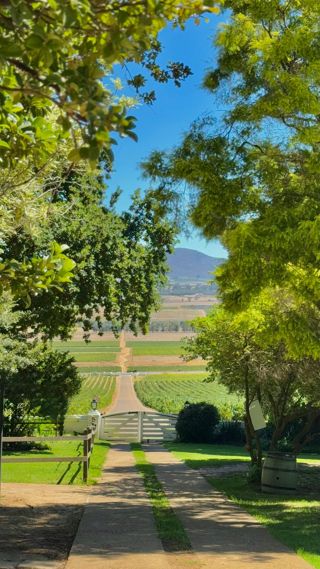 Ardèche – Scenic Vineyards, Lavender Trails & Traditional Horse-Drawn Carriage Rides