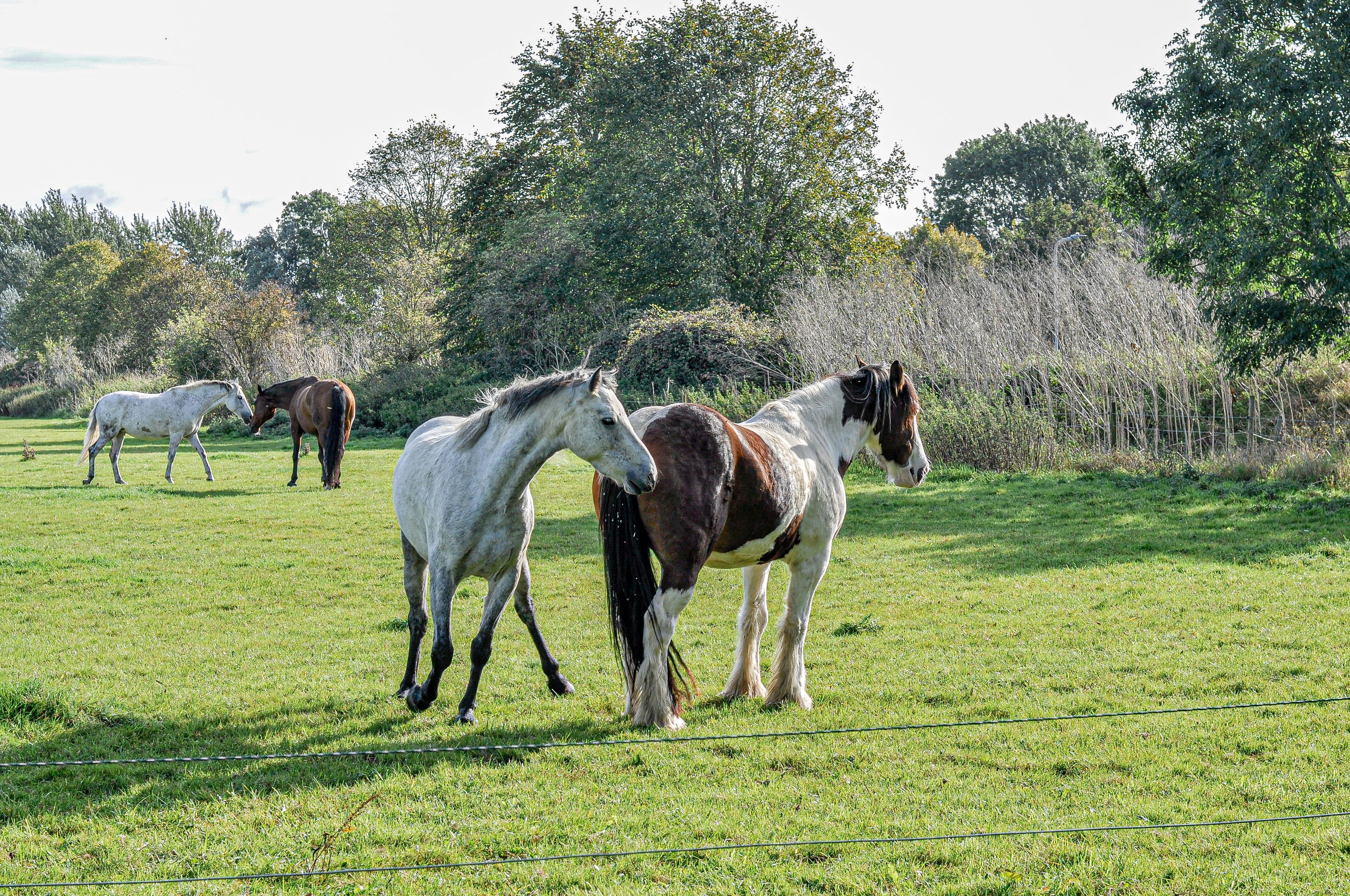 French Countryside – A Refined Country Estate with Outdoor Adventures & Slow-Life Activities