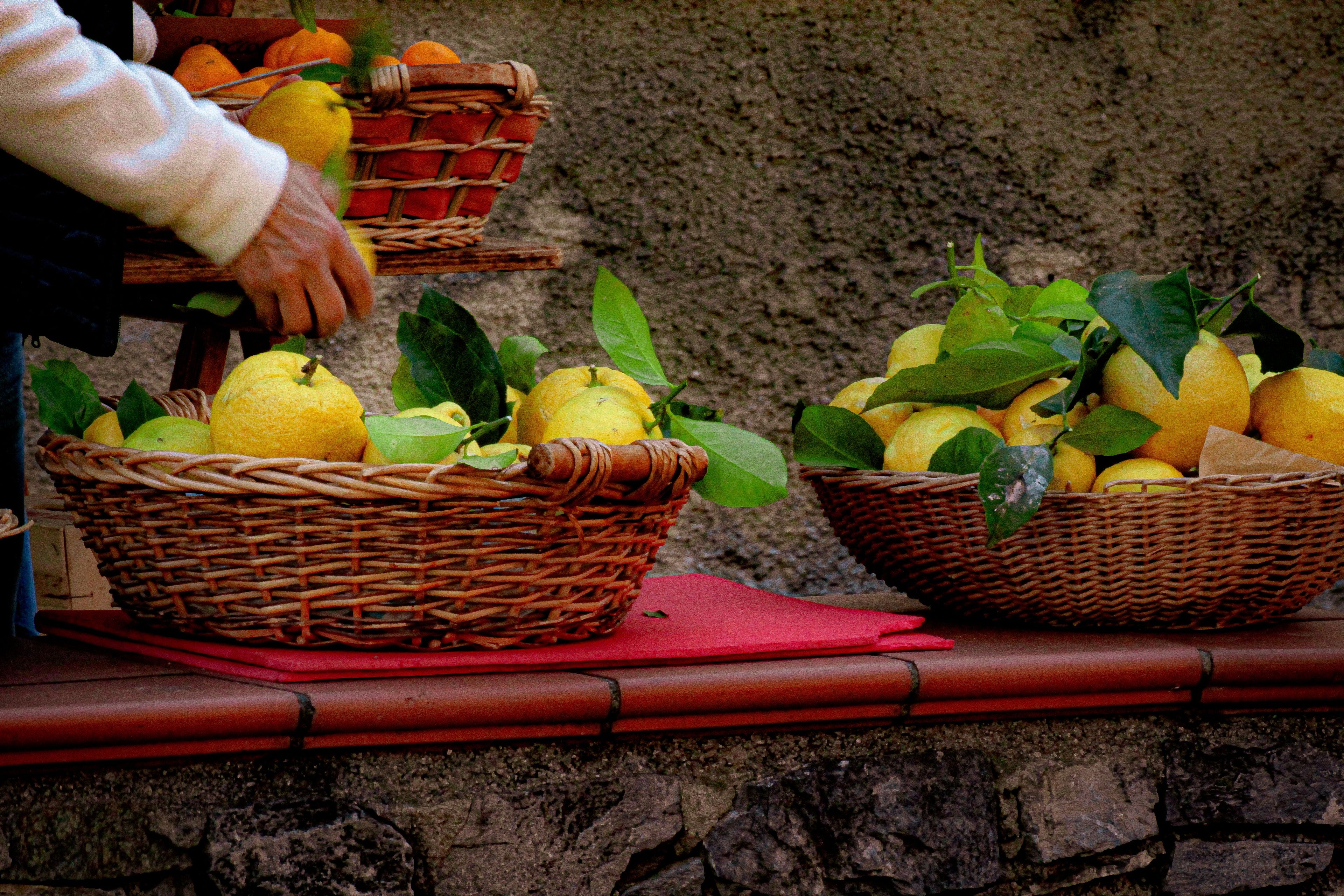 Amalfi Coast - The Art of Limoncello