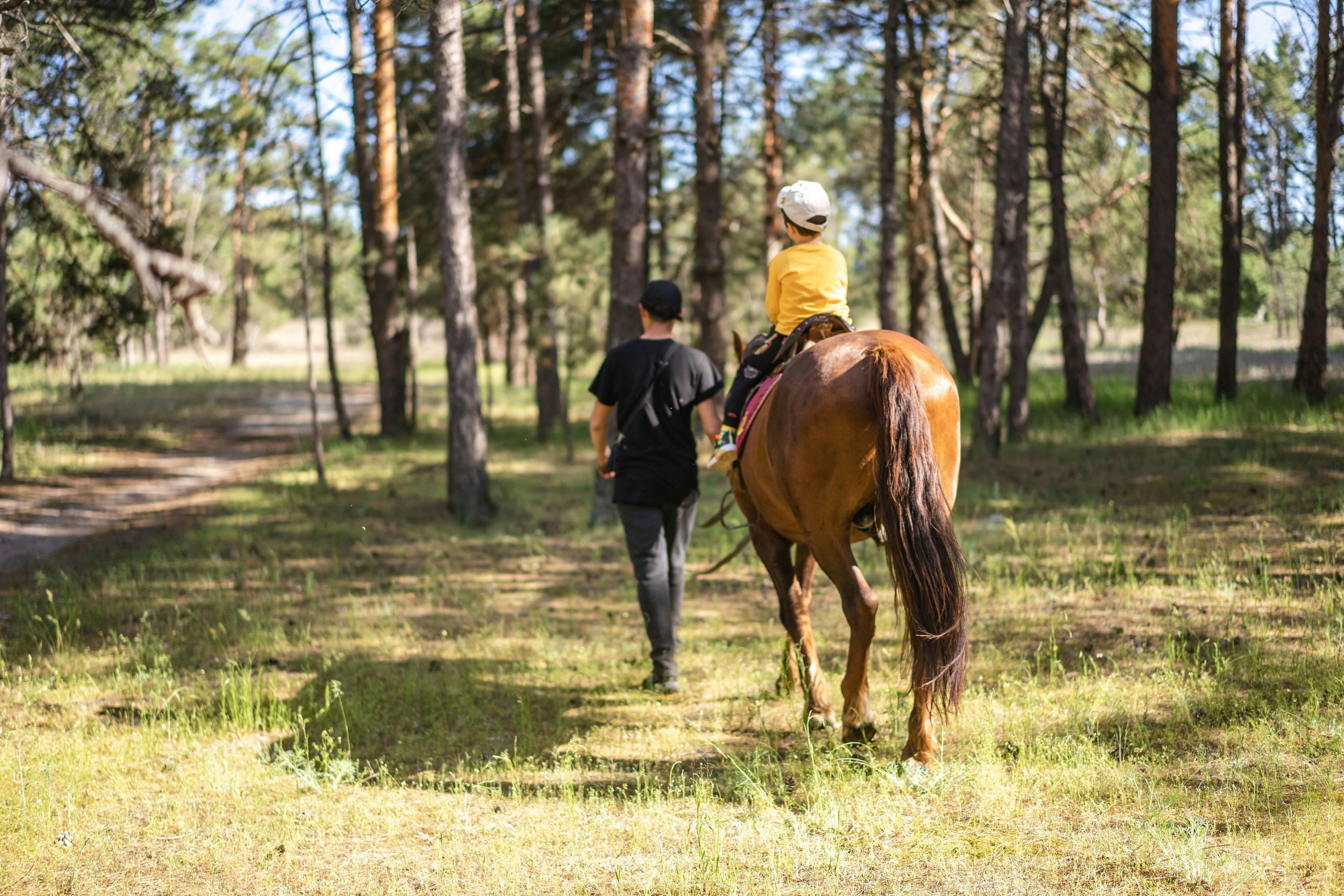Sand & Stone Woodlands – Ancient Oak Canopy Trails & Sure-Footed Rock Labyrinth Riding