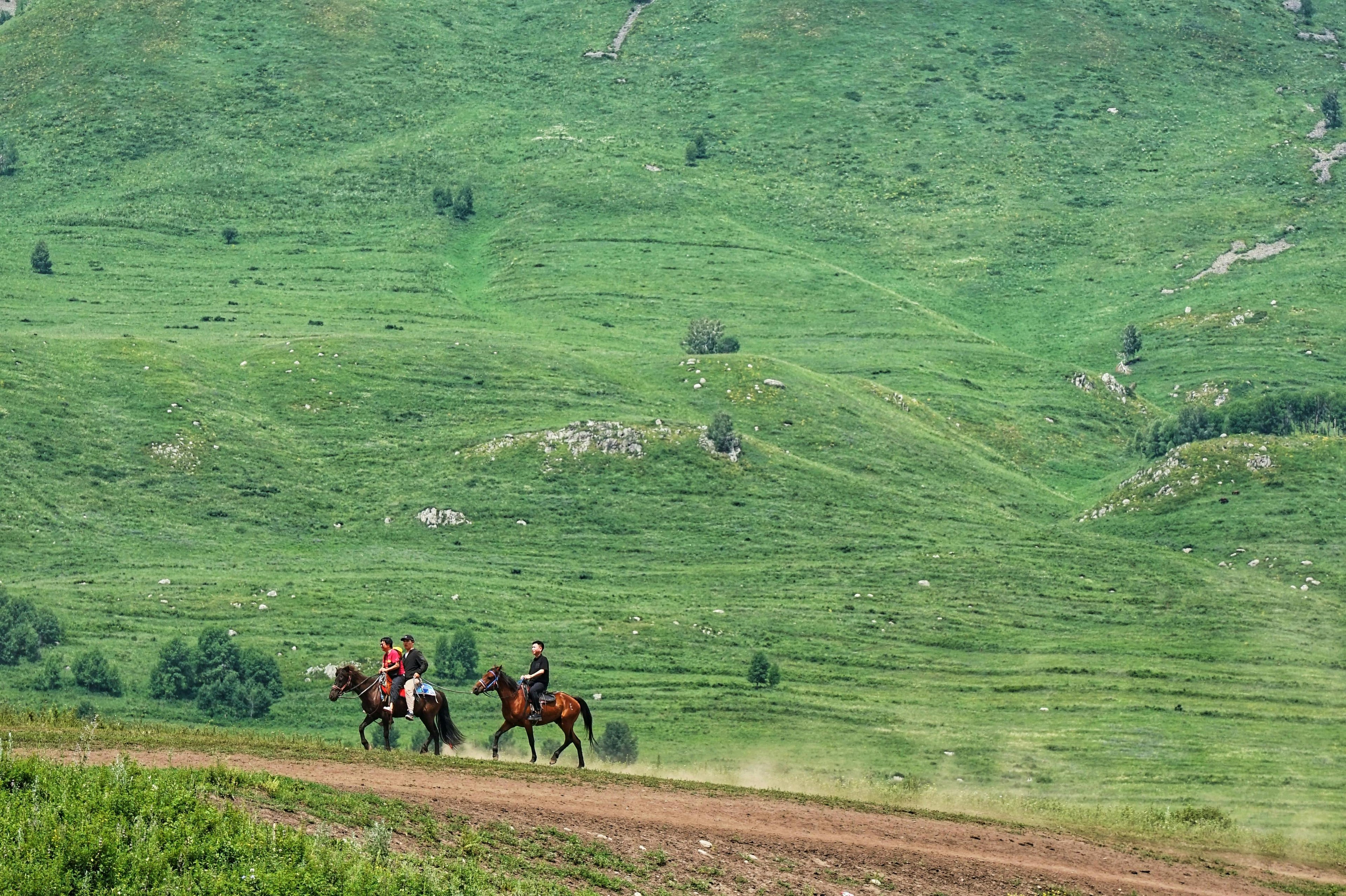 Turquoise Canyons – Steep Limestone Ridge Riding & Crystal River Equestrian Trails