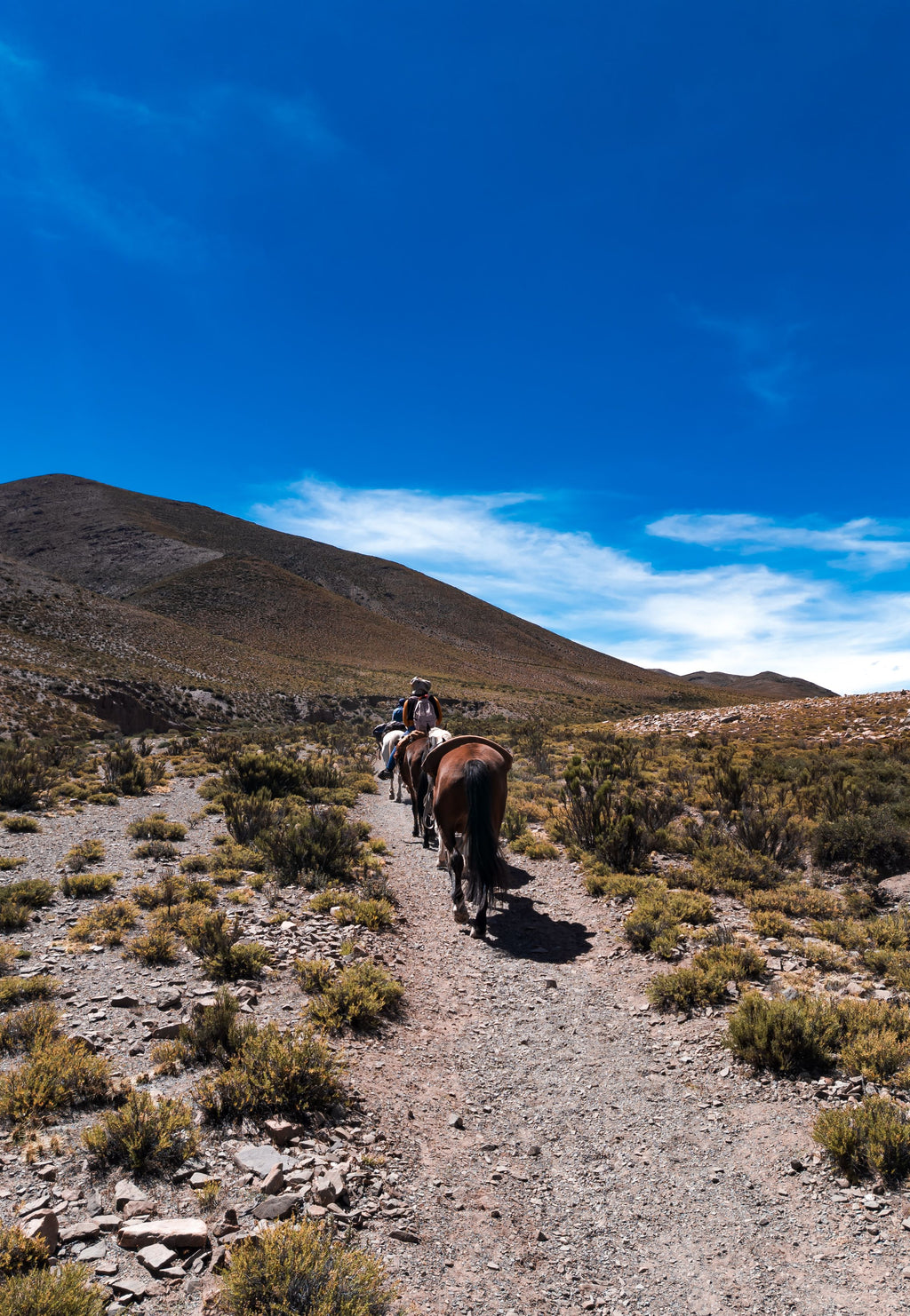 Málaga: Scenic Full-Day Horseback Riding Adventure with Picnic