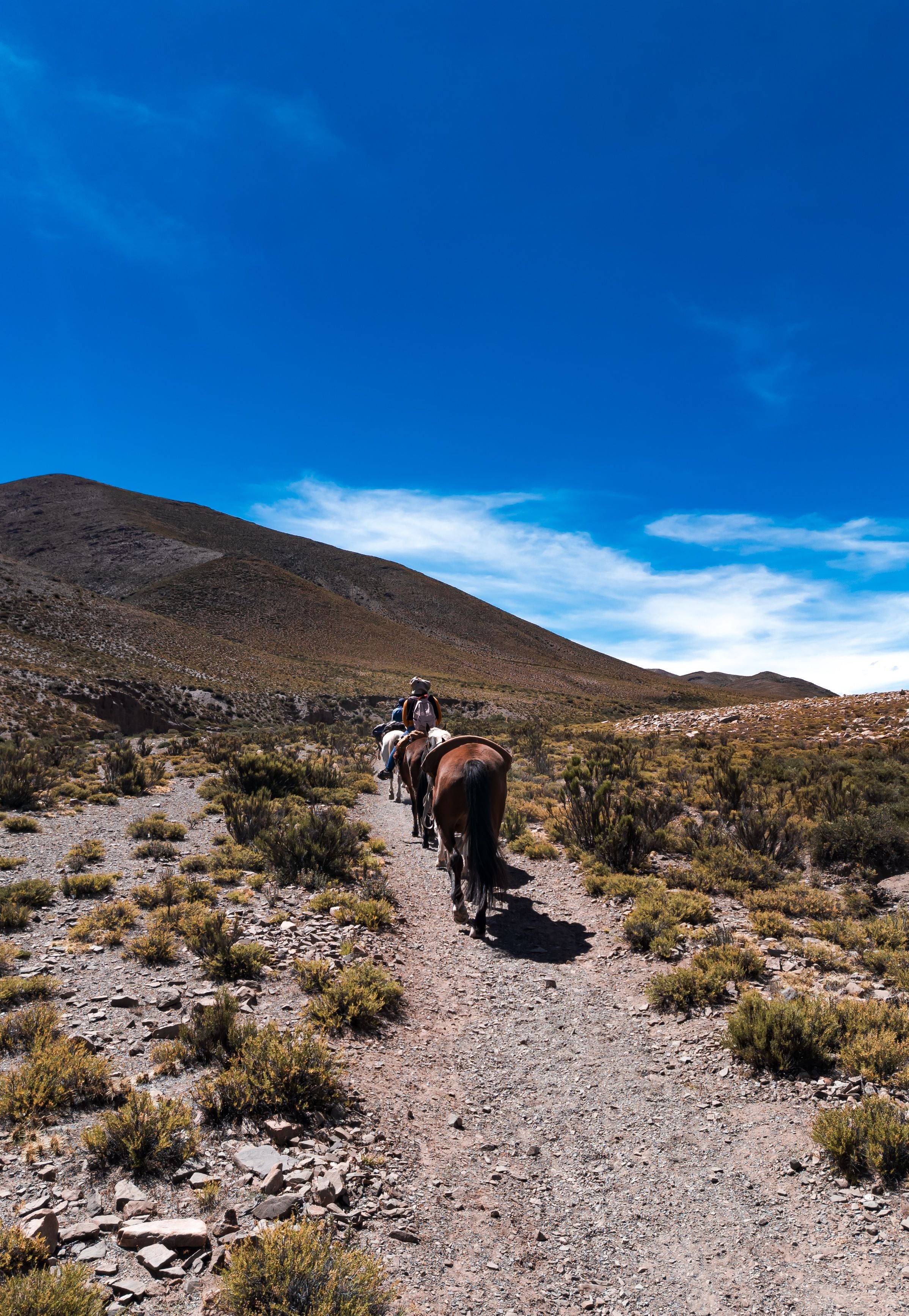 Málaga: Scenic Full-Day Horseback Riding Adventure with Picnic
