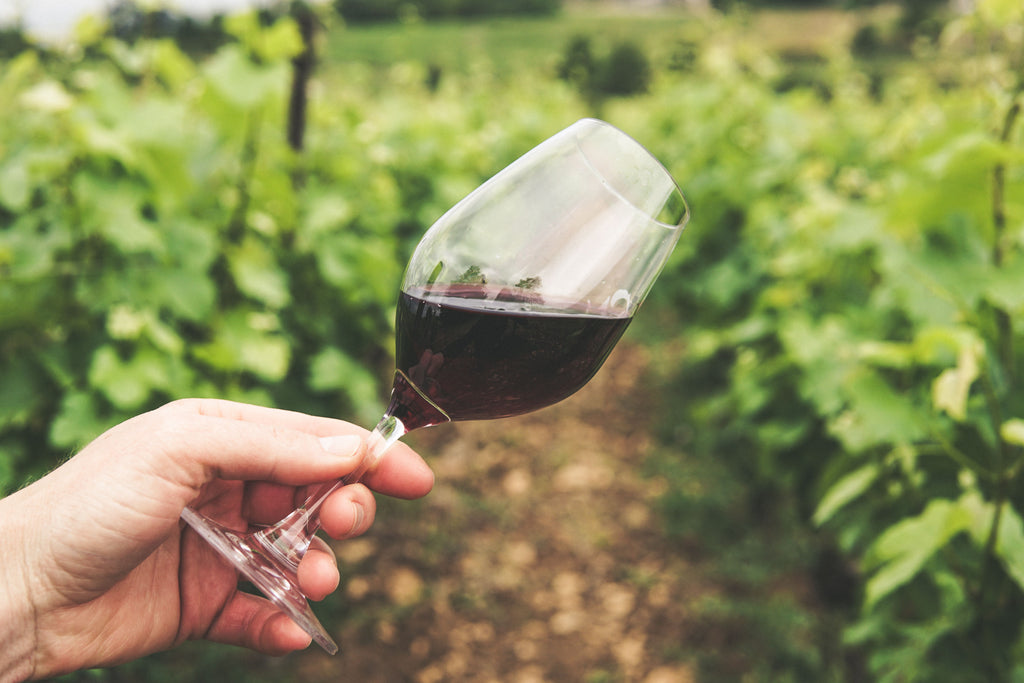Provence - A Vineyard Retreat