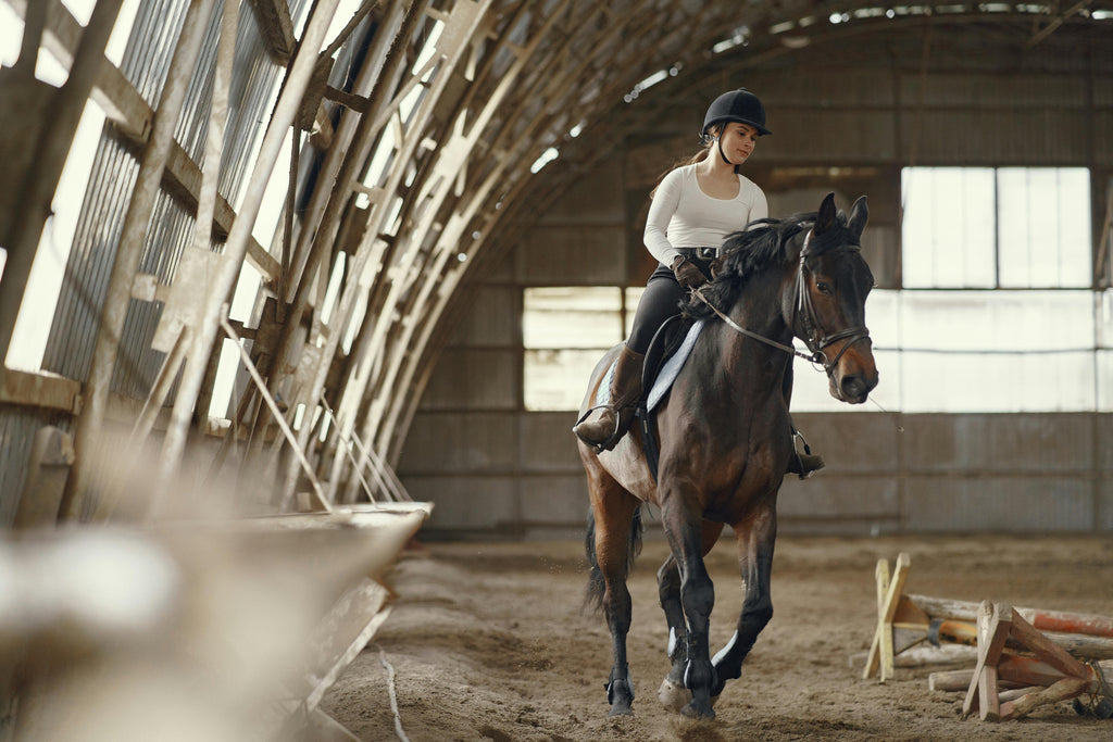 Paris Countryside – A Modern Equestrian Estate Dedicated to Horsemanship & Nature