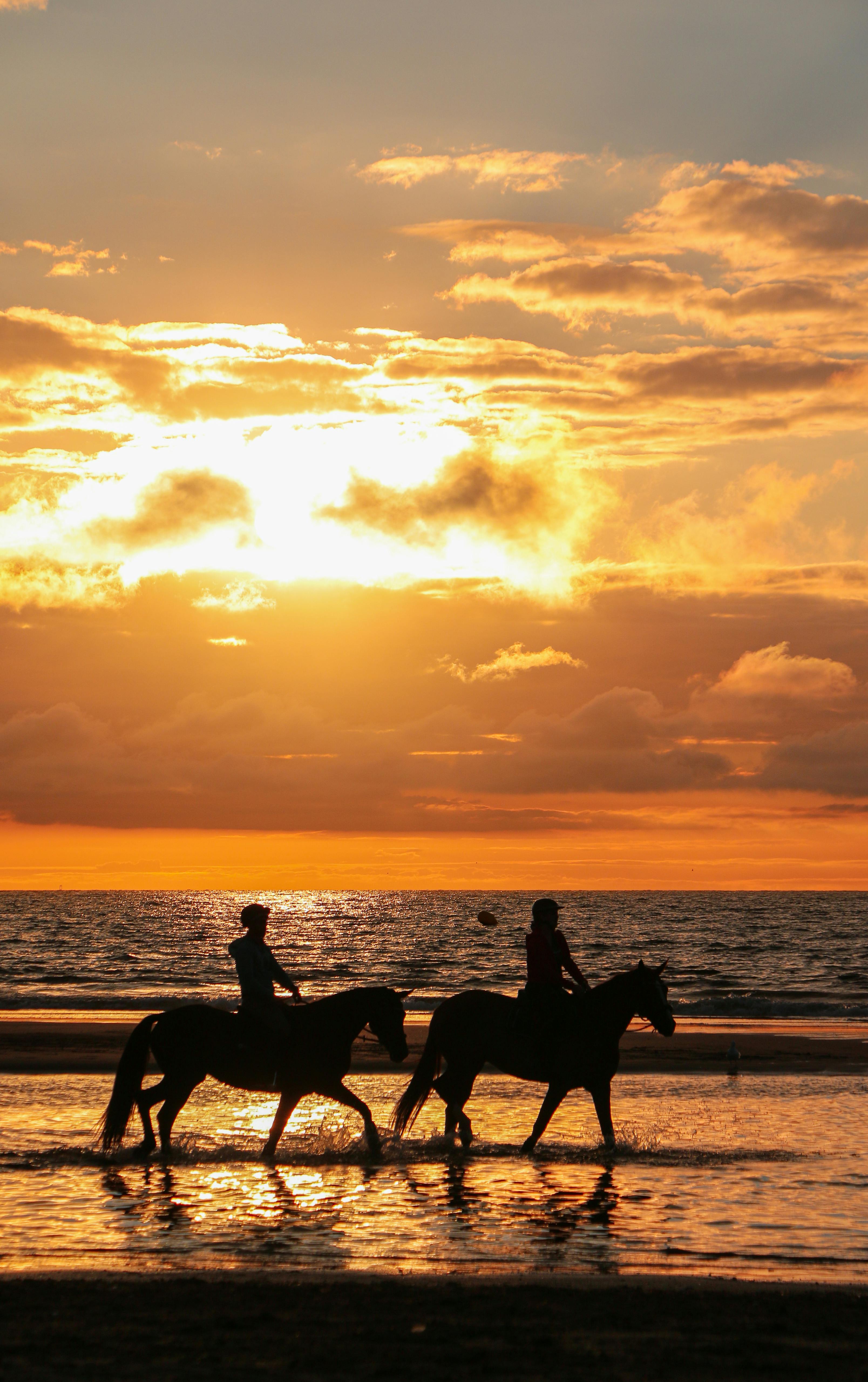 Marshland Liberty – Authentic White Horse Beach Gallops & Wild Wetland Safaris