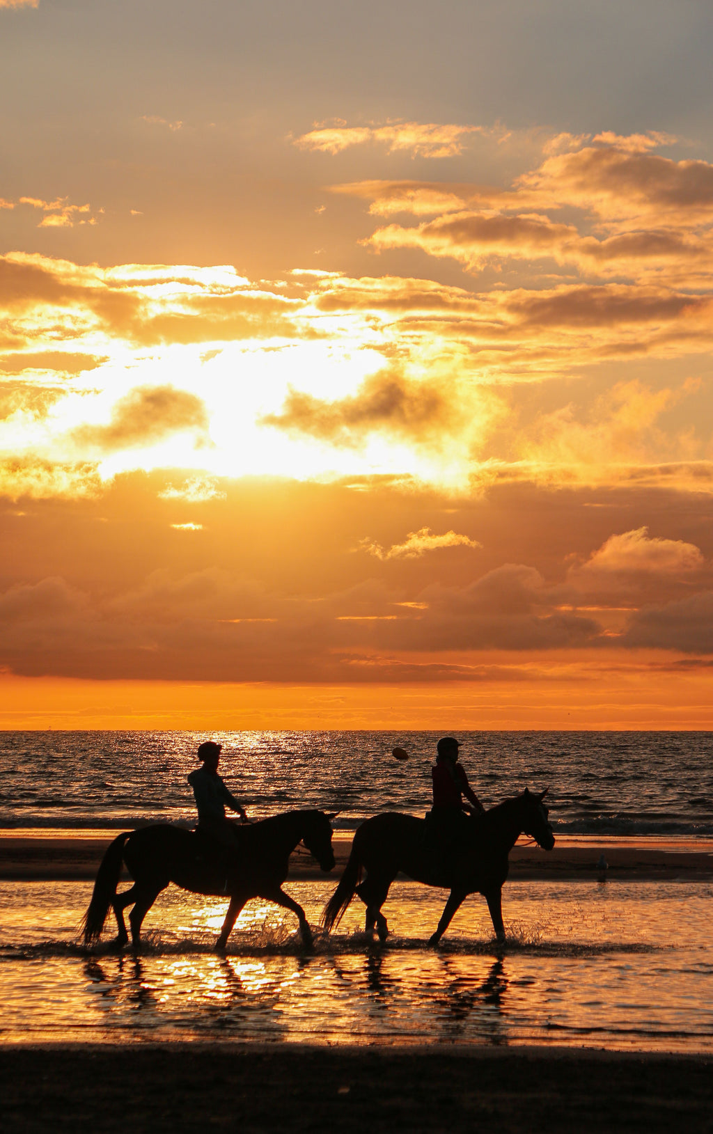 Rhodes: Sunset Horseback Riding Adventure Along the Coast