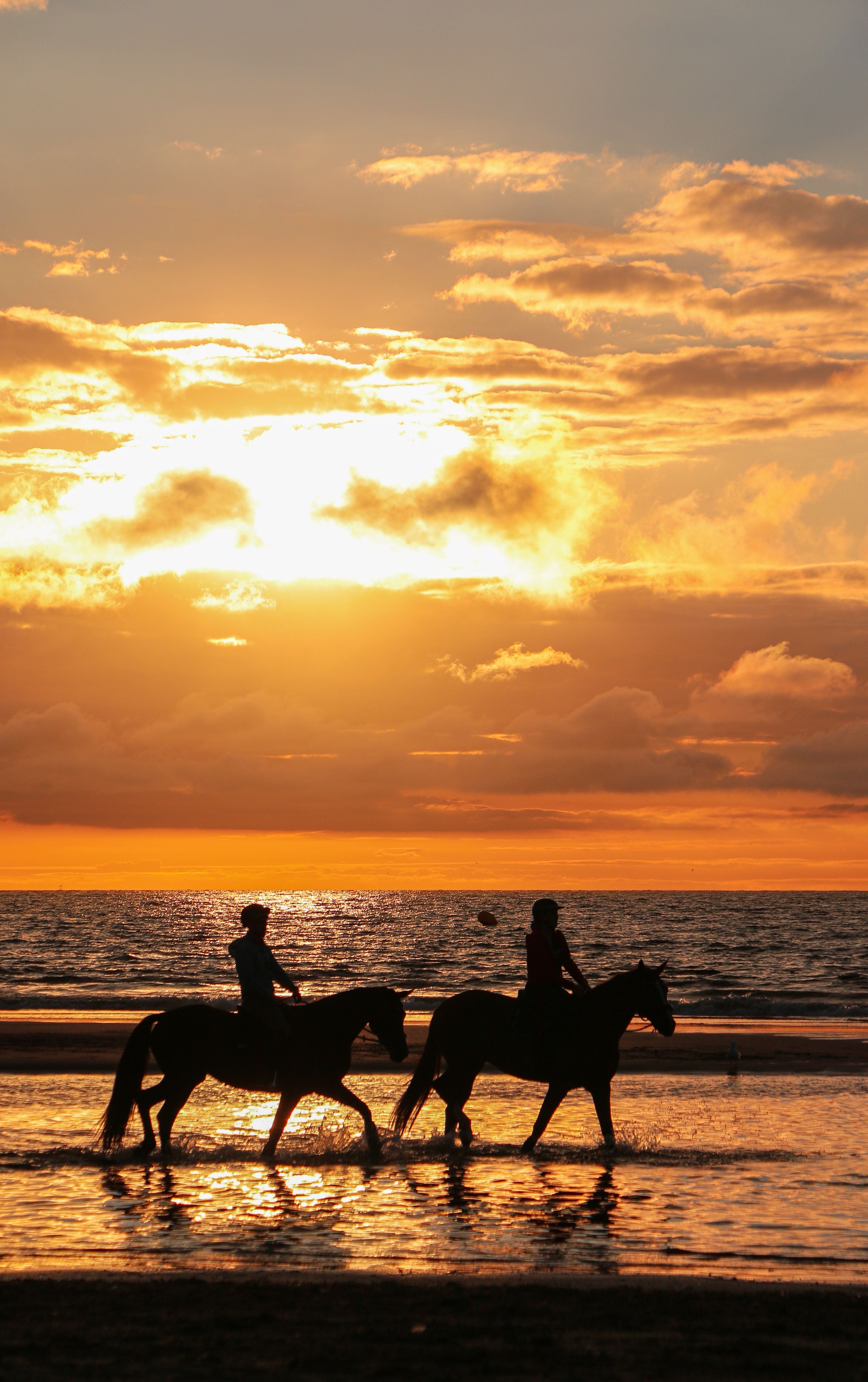 Rhodes: Sunset Horseback Riding Adventure Along the Coast