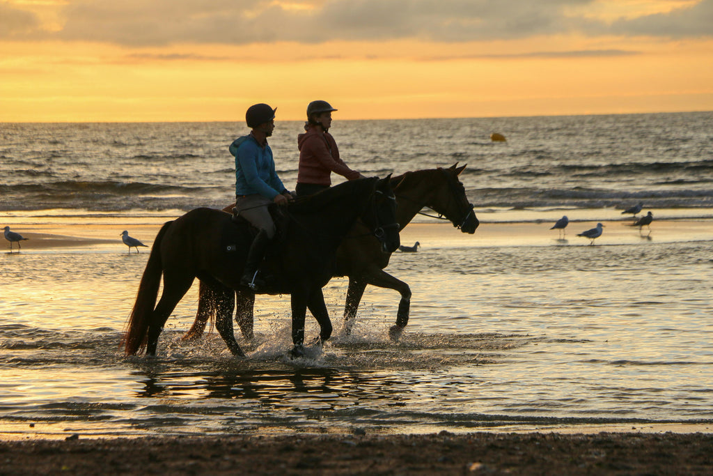 Vendee Coast – Pine Forests, Wild Salt Marshes & Scenic Sand Dune Beach Rides