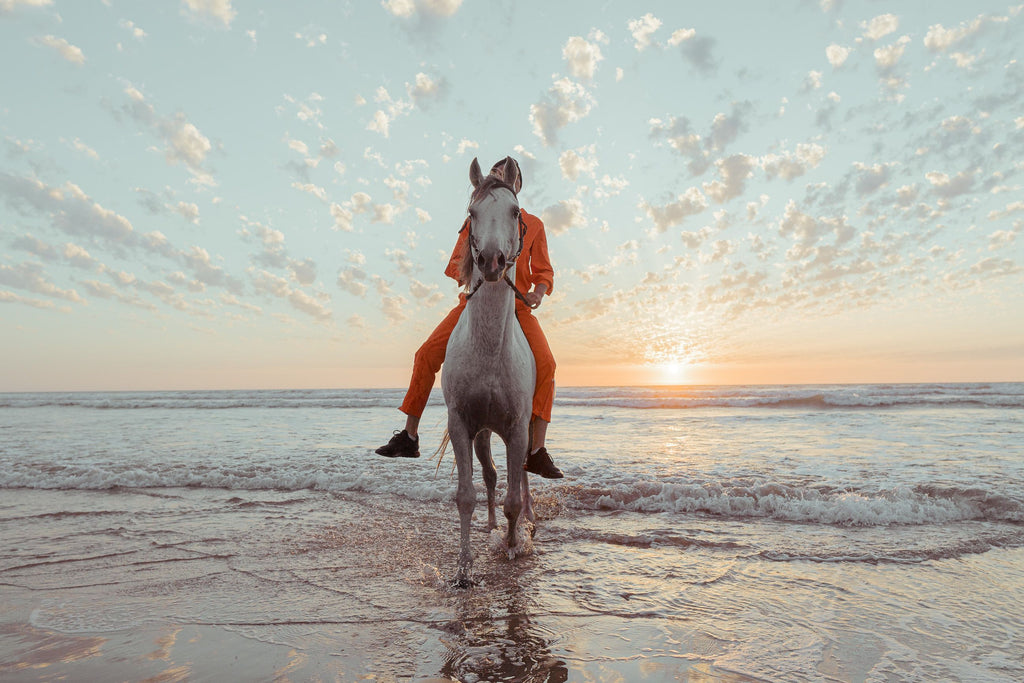 Rhodes: Sunset Horseback Riding Adventure Along the Coast