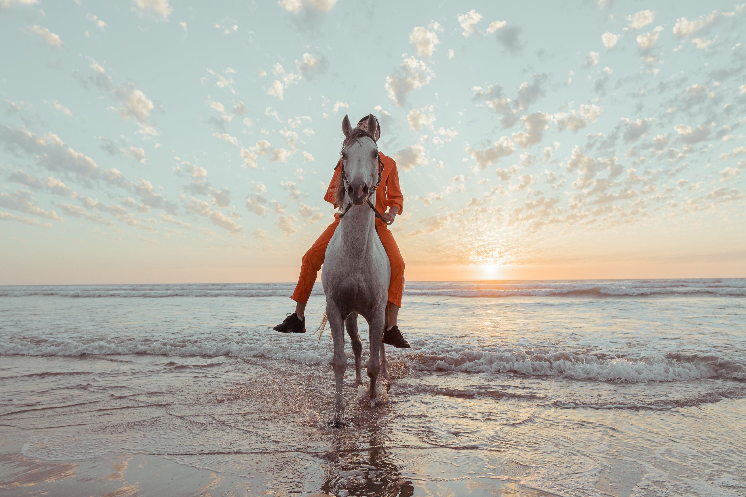 Rhodes: Sunset Horseback Riding Adventure Along the Coast