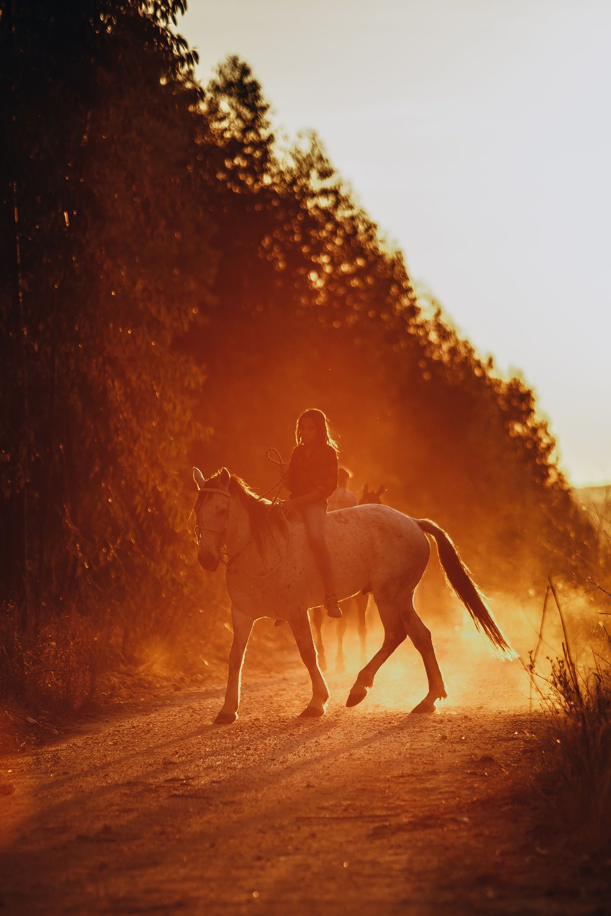 A Day on Horseback
