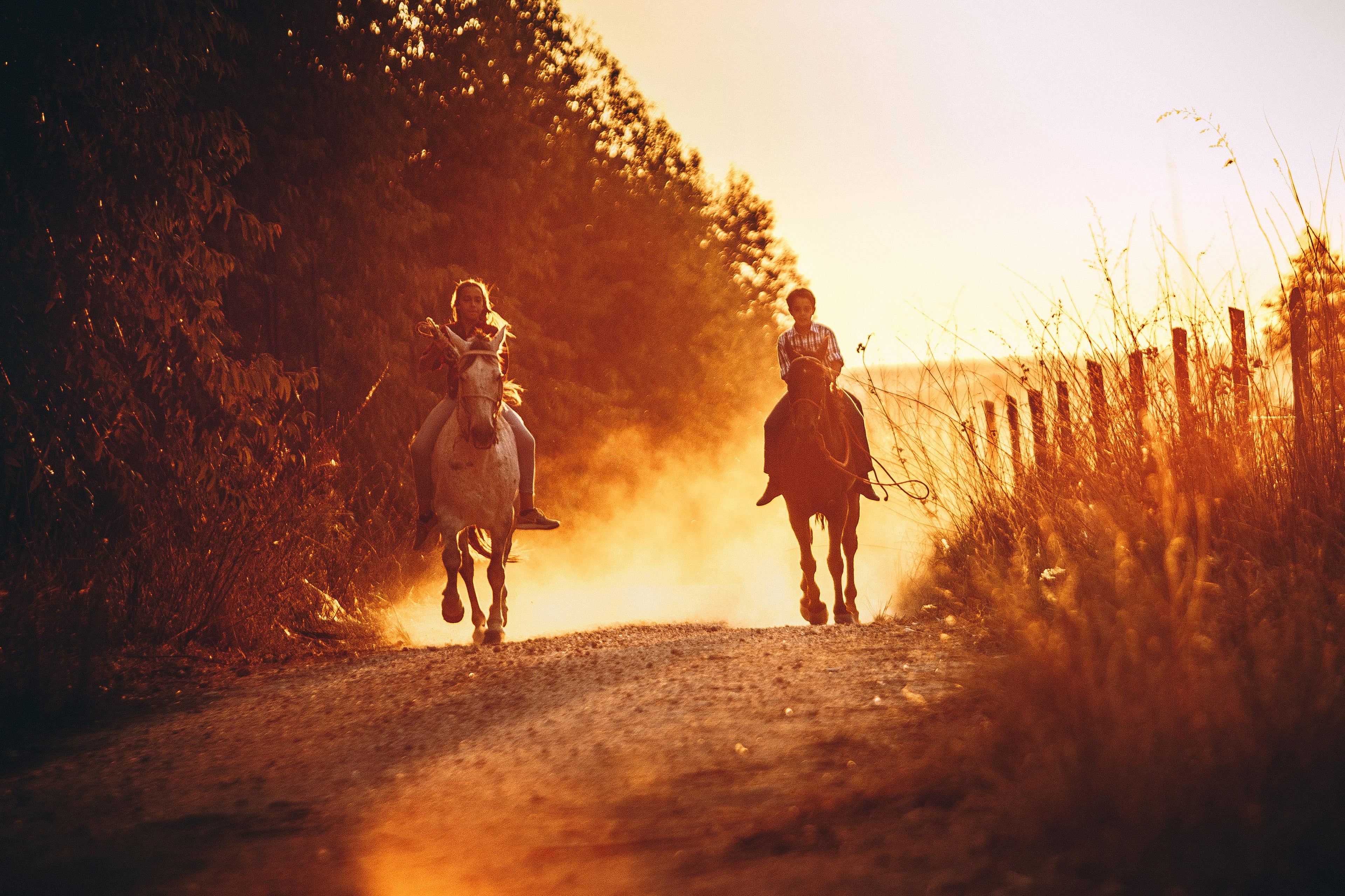 Summer Getaway – Vibrant Multi-Activity Escape & Scenic Nature Trails for All Generations