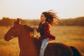 Sweden: Sunset Horseback Riding Adventure Through Forests & Mountain Trails
