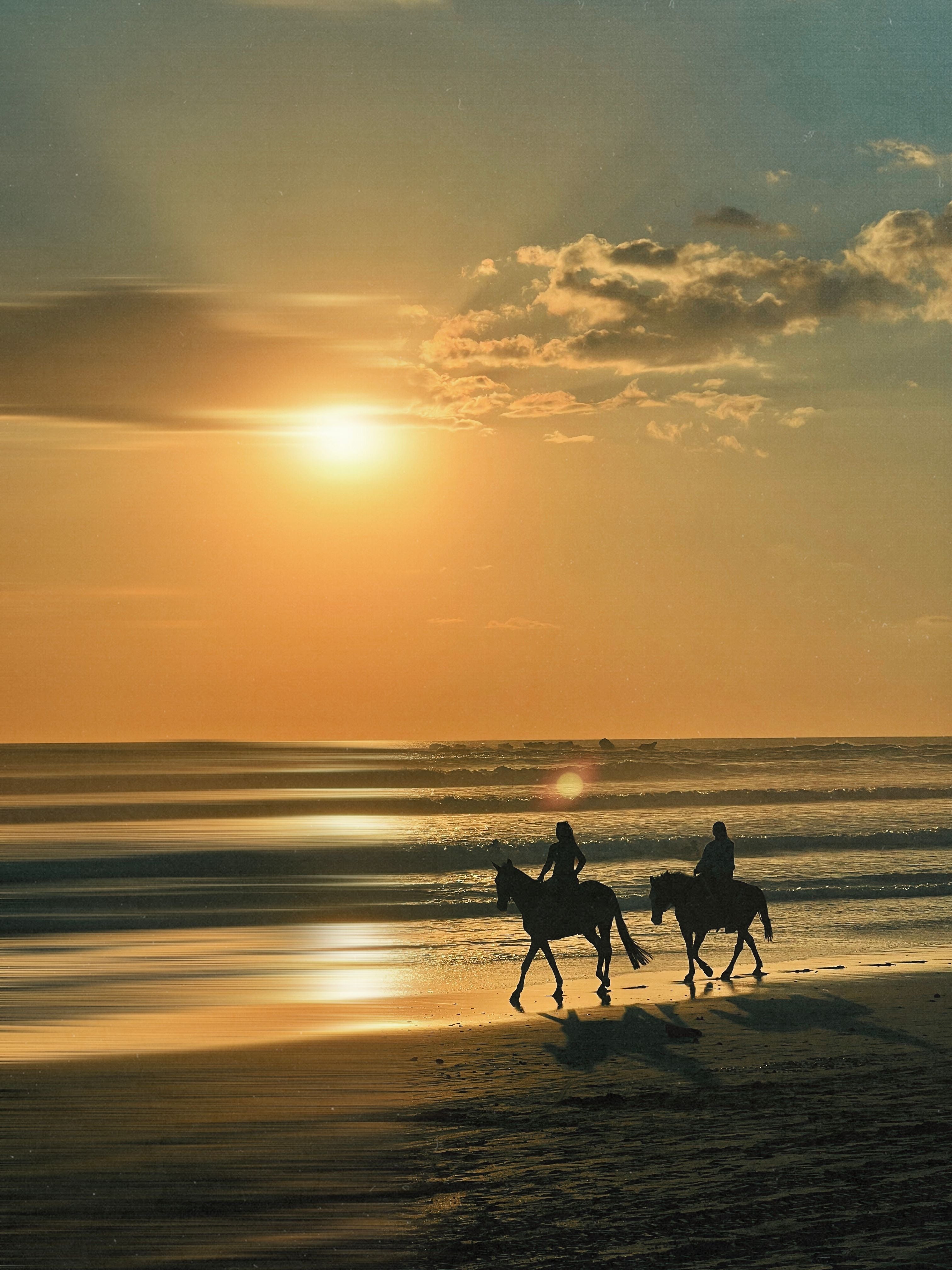 Rhodes: Sunset Horseback Riding Adventure Along the Coast