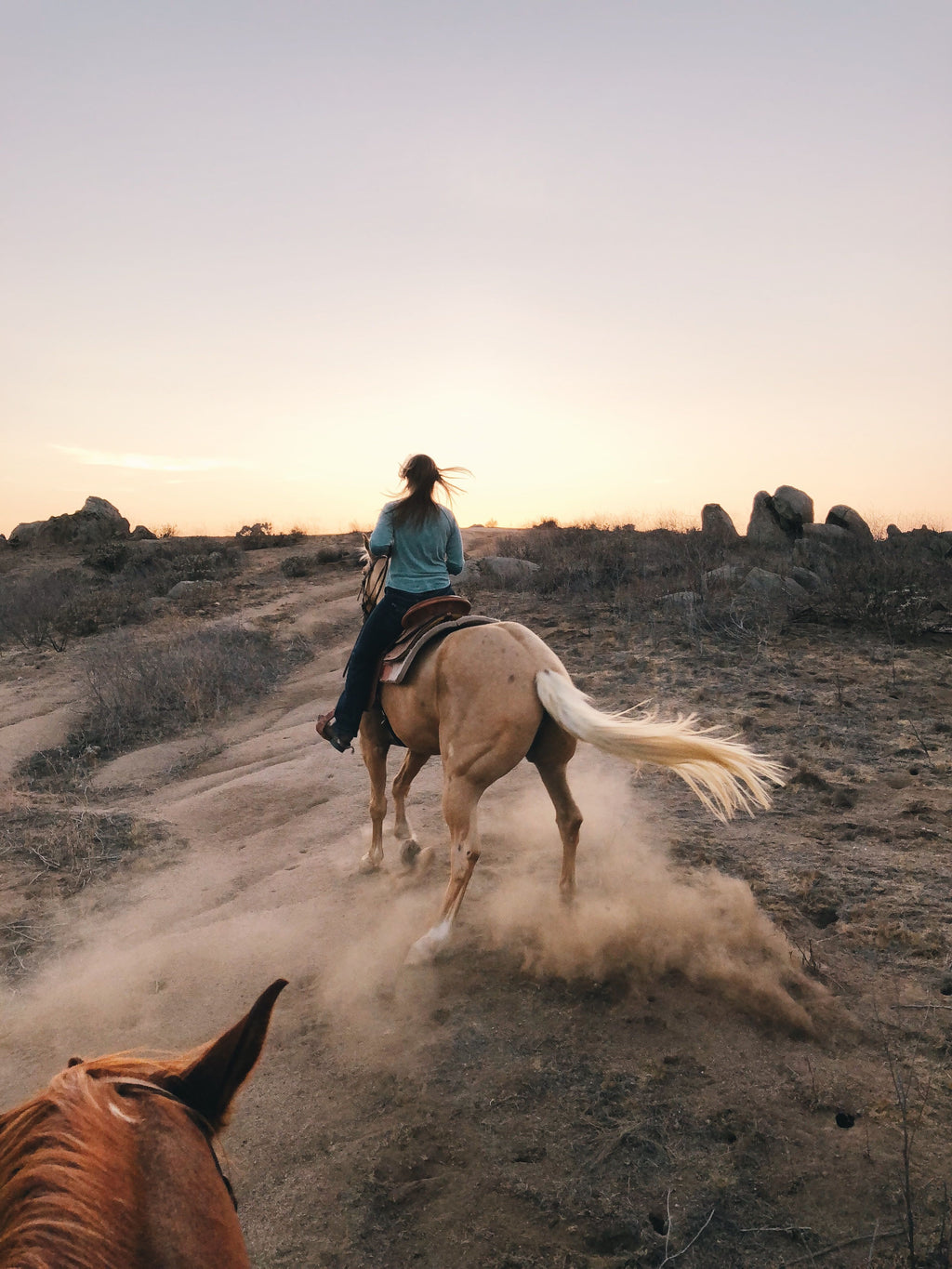 Egypt: Iconic Giza Pyramids Horseback Ride with Museum Entry & Private Guide