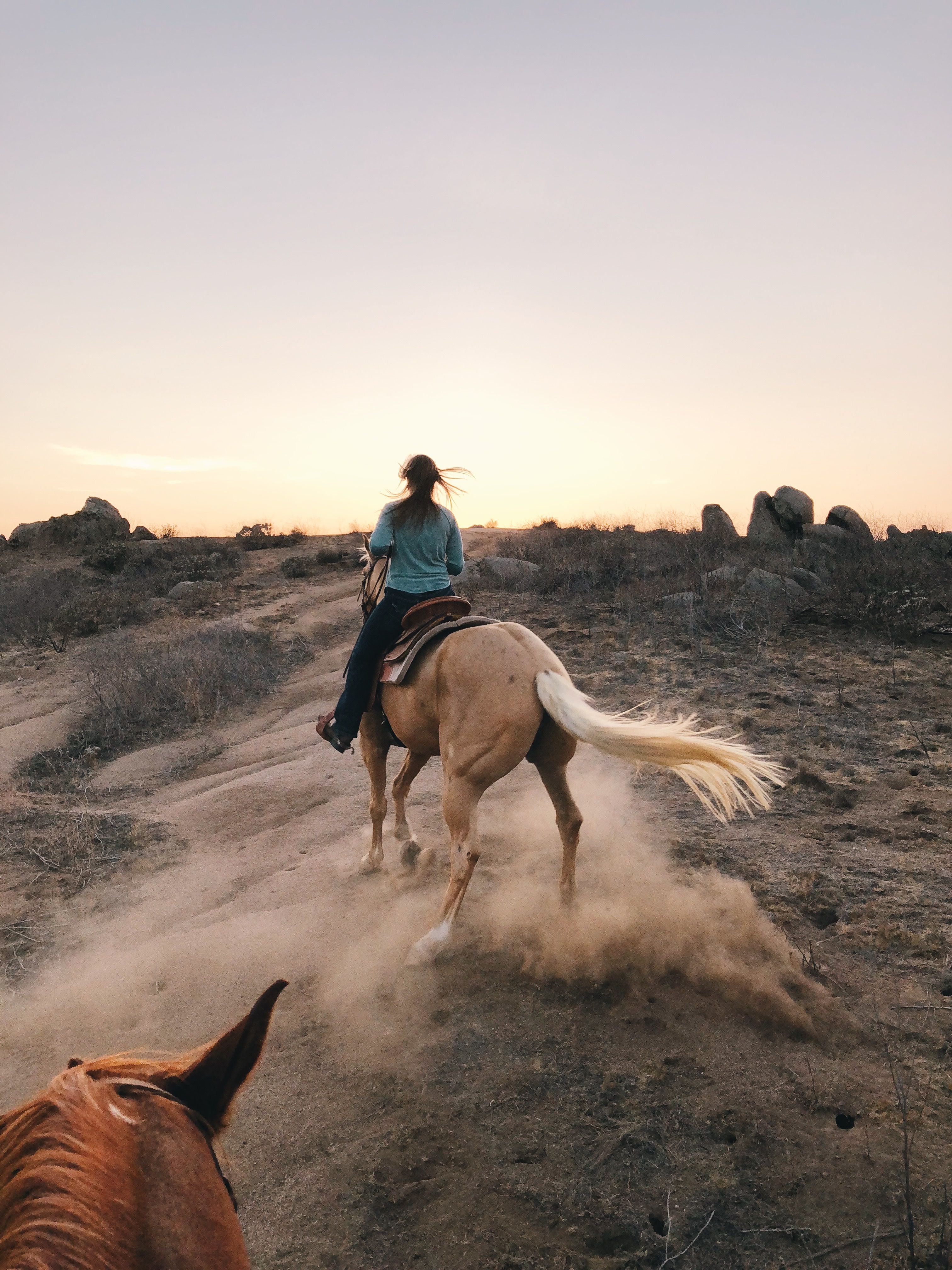 Egypt: Iconic Giza Pyramids Horseback Ride with Museum Entry & Private Guide