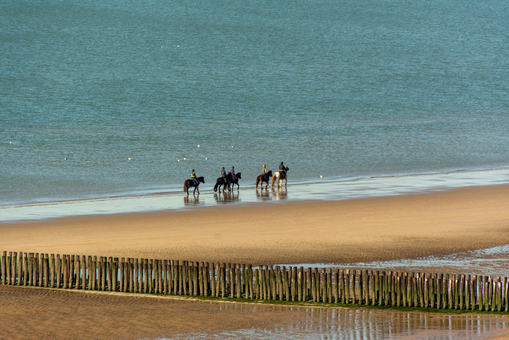 Baie de Somme – An Authentic Horseback Adventure in Wild Coastal Wetlands