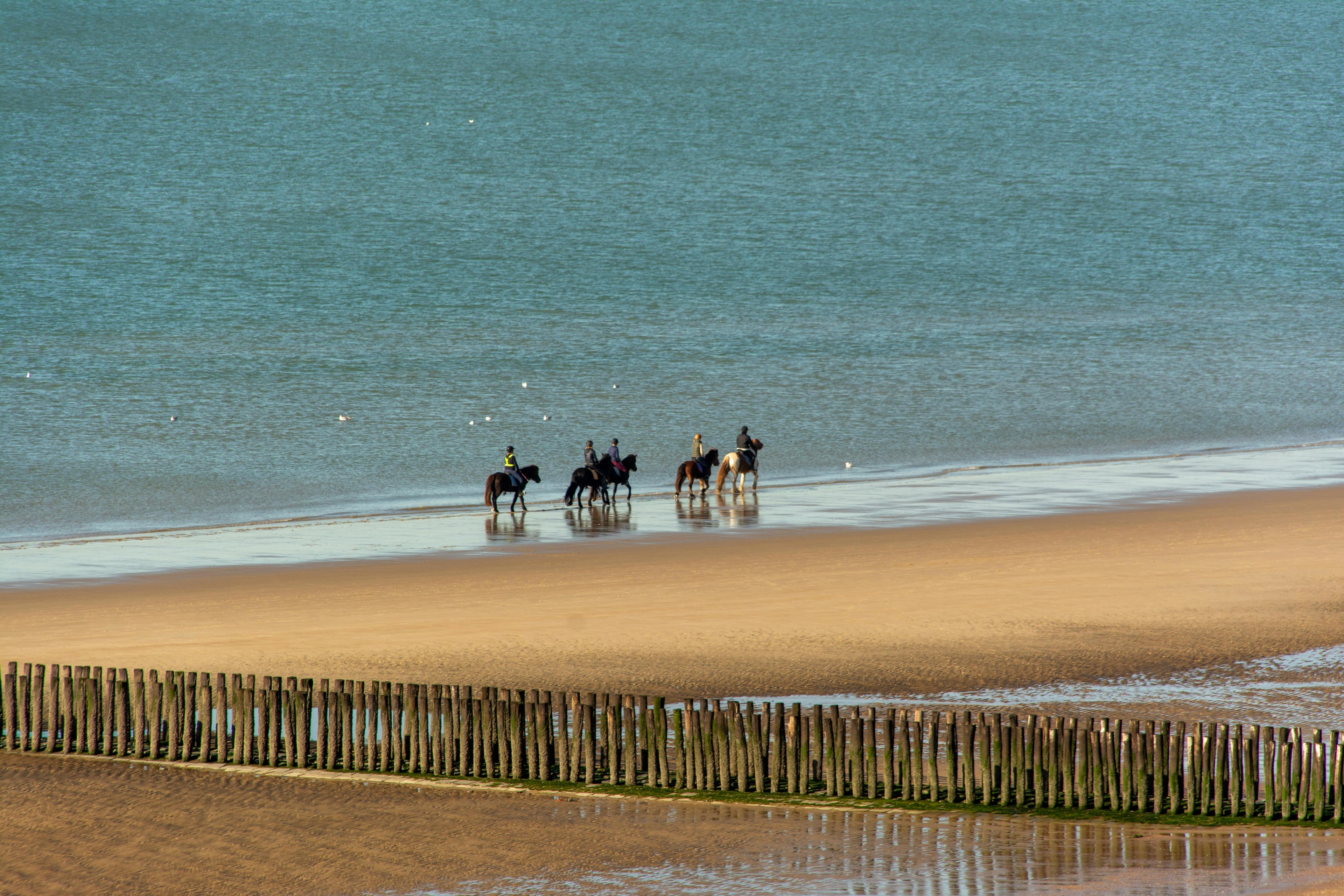 Baie de Somme – An Authentic Horseback Adventure in Wild Coastal Wetlands