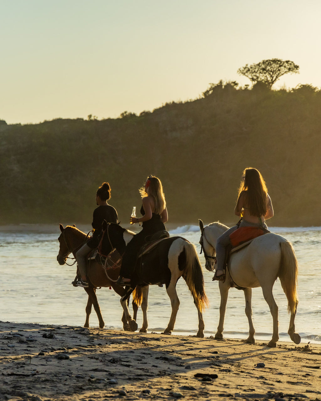 Rhodes: Sunset Horseback Riding Adventure Along the Coast