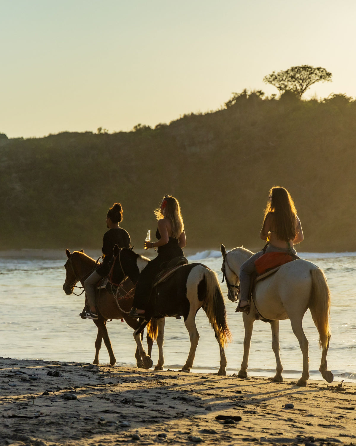 Portugal - Beach & Farm Horseback Riding